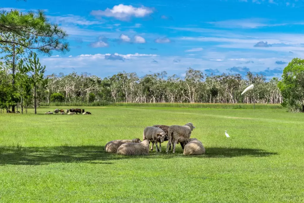 39 Prawle Road, Dundathu Sold by Queensland Sotheby's International Realty - image 1