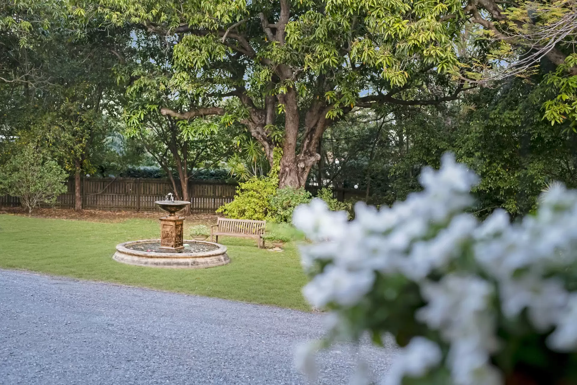 88 Kadumba Street, Yeronga Sold by Queensland Sotheby's International Realty - image 1