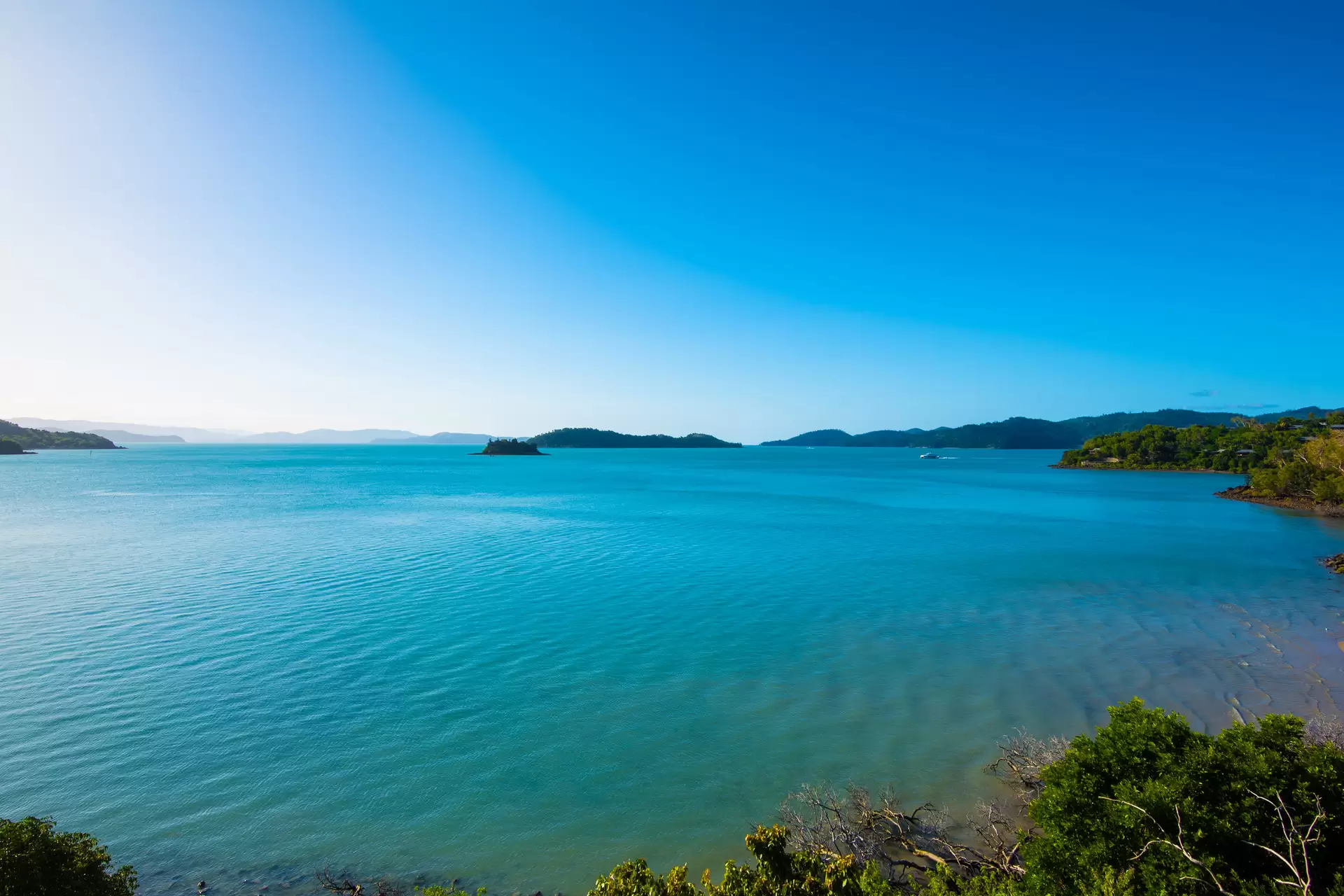 54/5 Acacia Drive, Hamilton Island Sold by Queensland Sotheby's International Realty - image 1