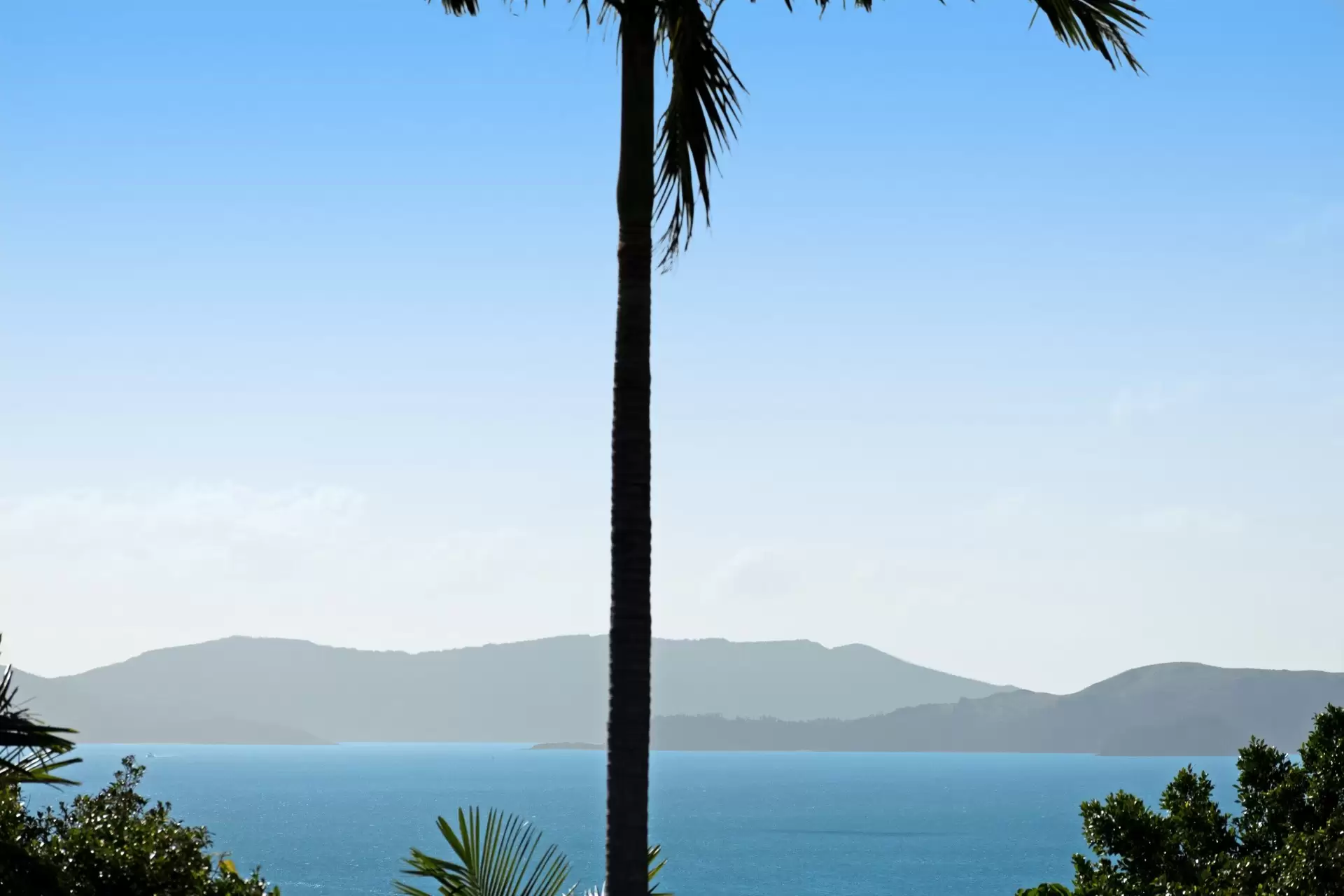 25/5 Banksia Court, Hamilton Island Sold by Queensland Sotheby's International Realty - image 1
