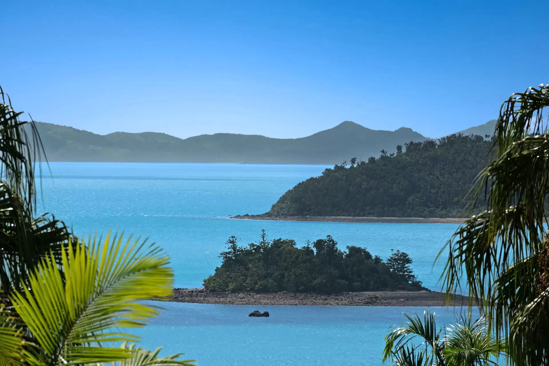 14/5 Banksia Court, Hamilton Island Sold by Queensland Sotheby's International Realty - image 1