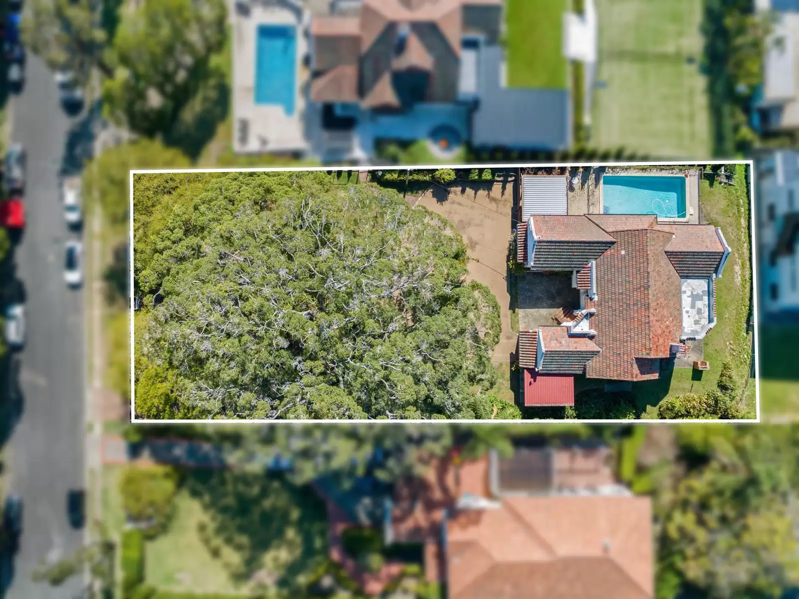 31 MacKay Street, Windsor Sold by  - image 1