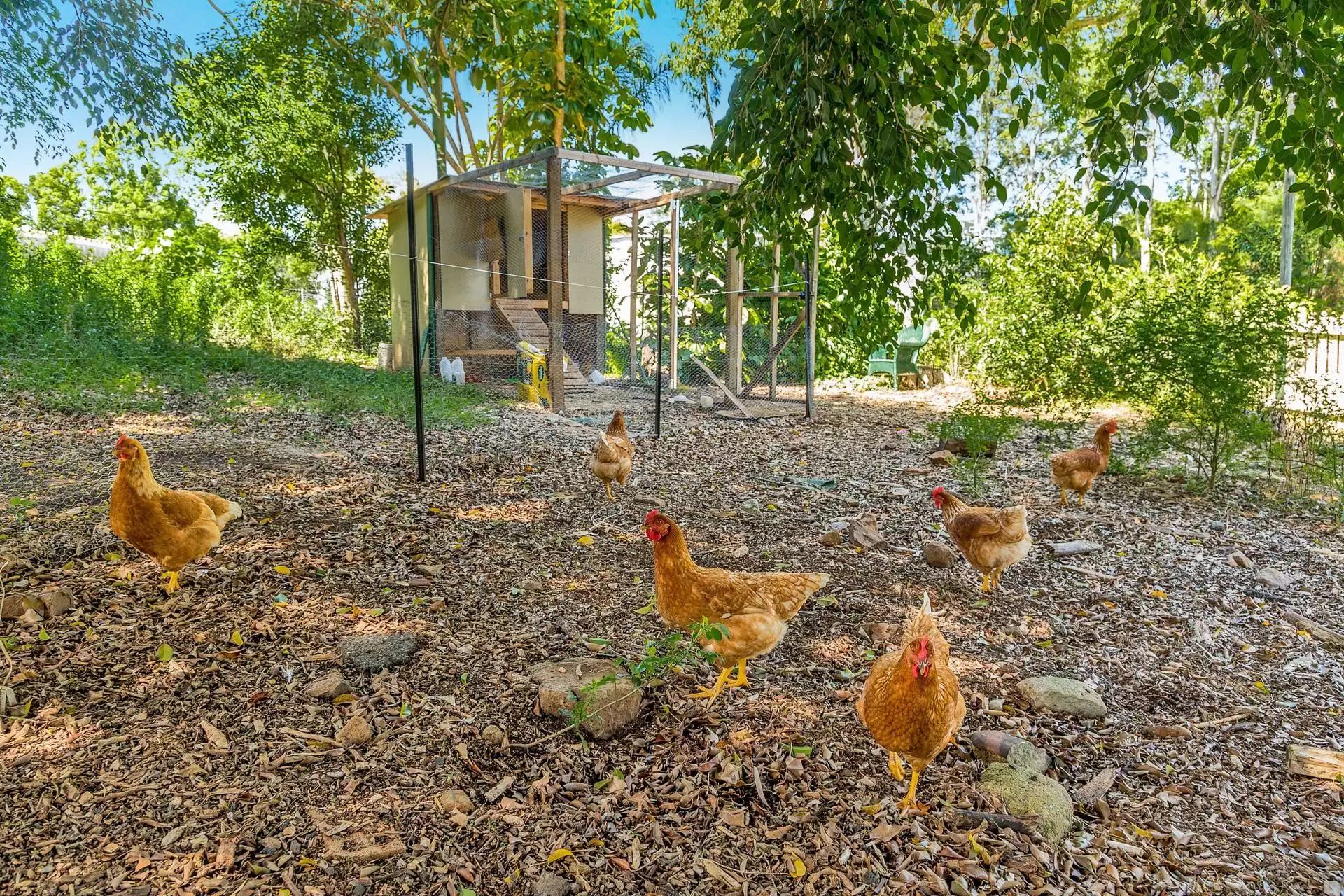 311 Terranora Road, Banora Point Sold by Queensland Sotheby's International Realty - image 1
