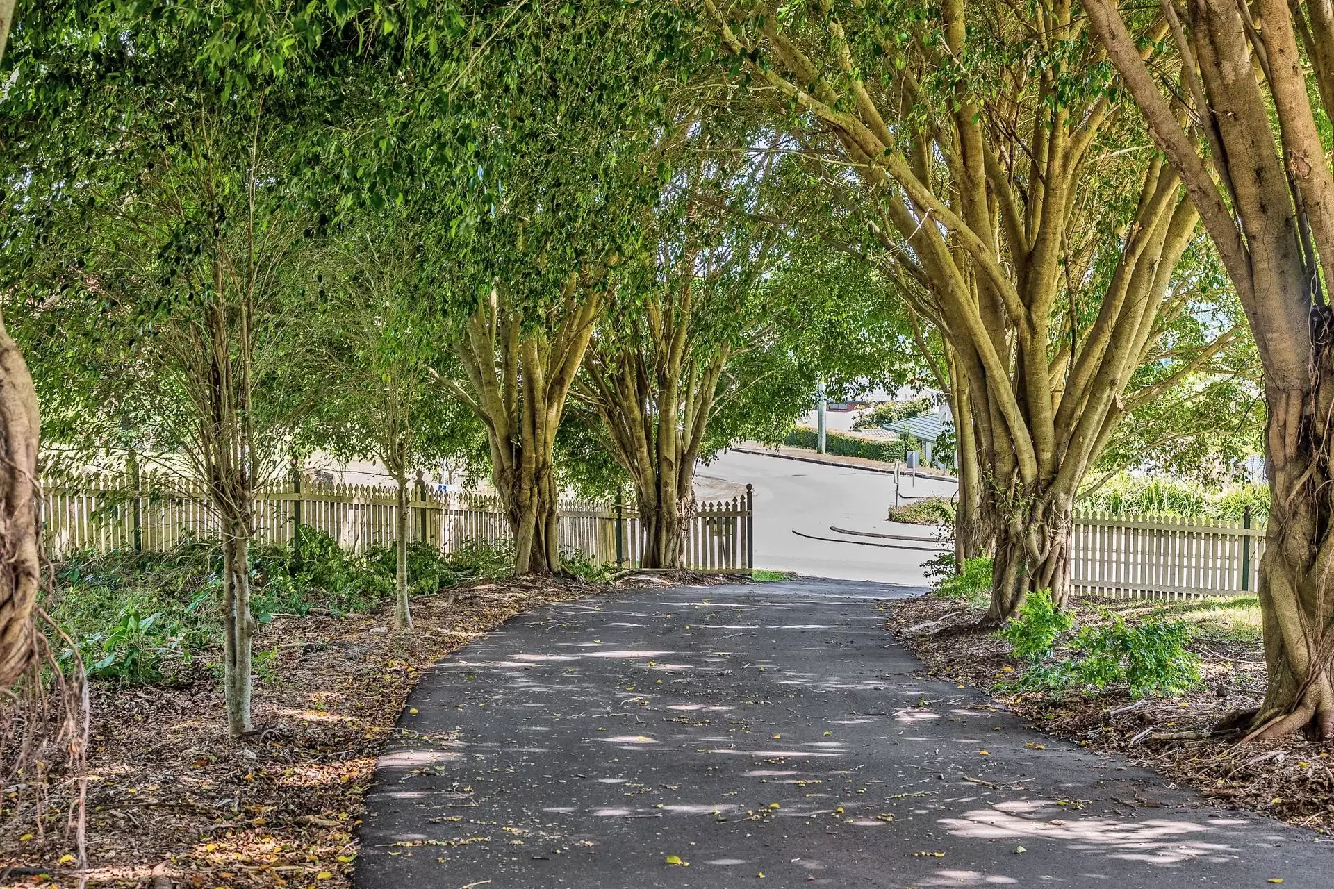 311 Terranora Road, Banora Point Sold by Queensland Sotheby's International Realty - image 1