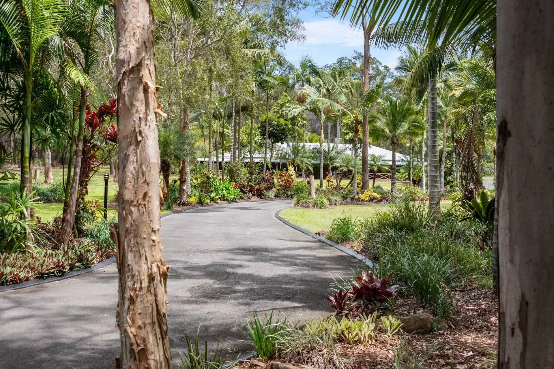 96 Eastwood Street, Chandler Sold by Queensland Sotheby's International Realty - image 1