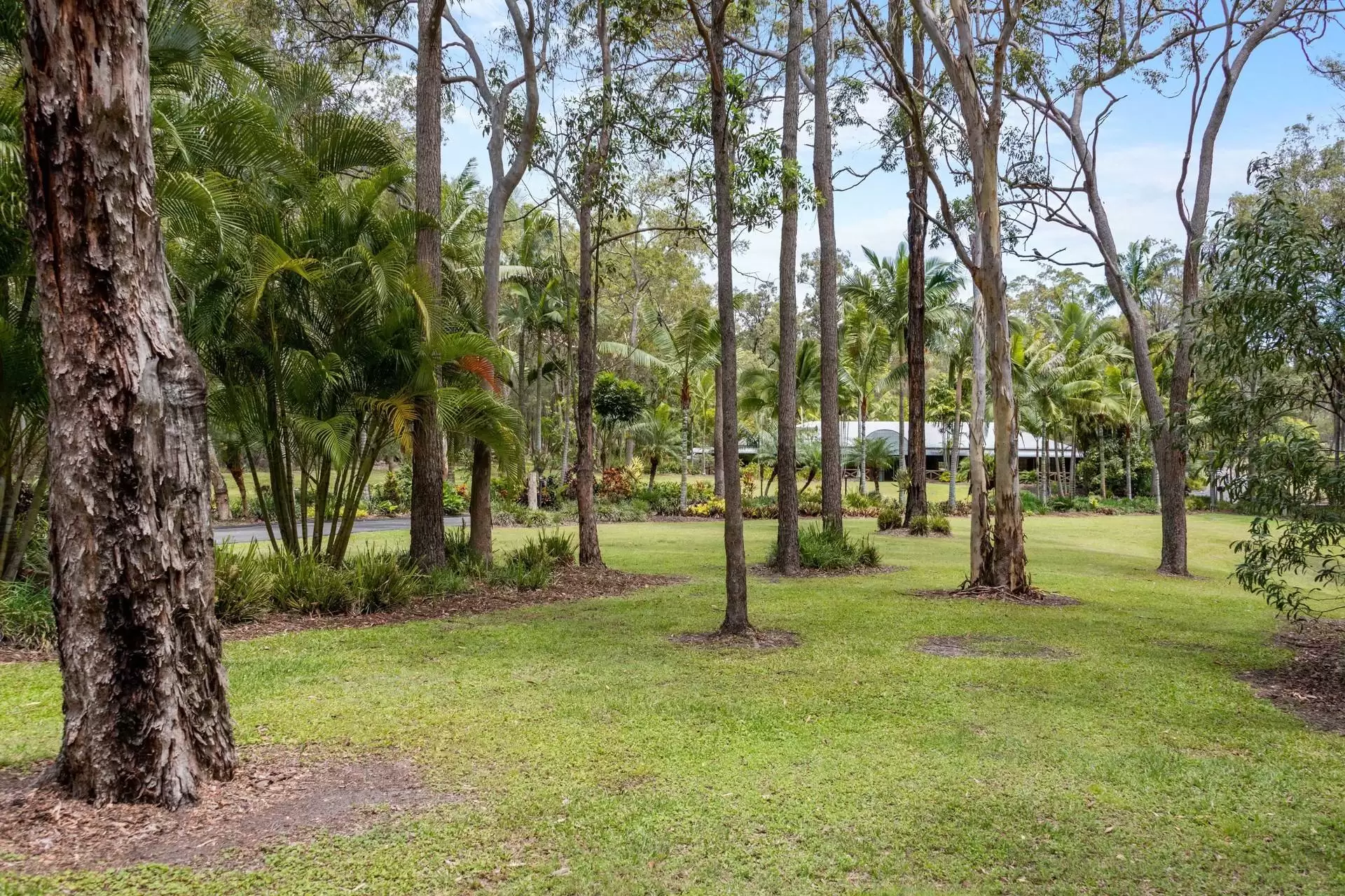 96 Eastwood Street, Chandler Sold by Queensland Sotheby's International Realty - image 1