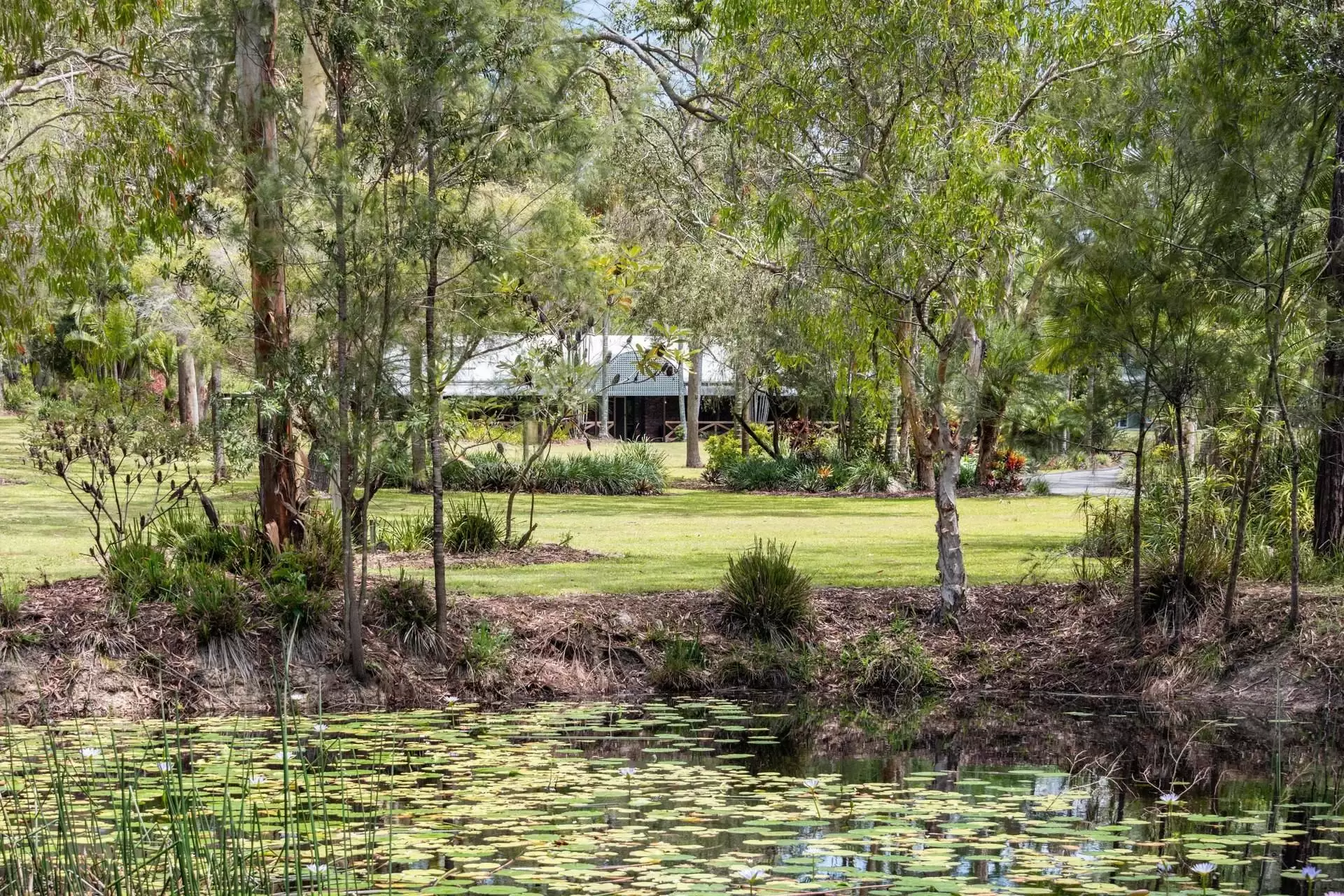 96 Eastwood Street, Chandler Sold by Queensland Sotheby's International Realty - image 1