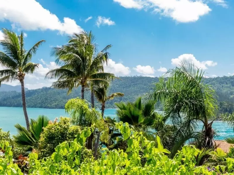 3/10 Whitsunday Boulevard, Hamilton Island Sold by  - image 1
