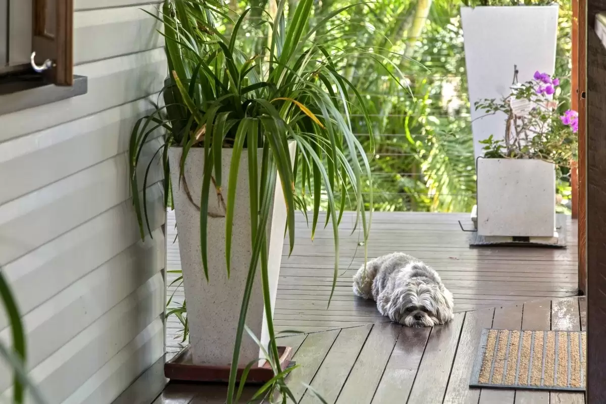 16 Alma Street, Southport Sold by Queensland Sotheby's International Realty - image 1