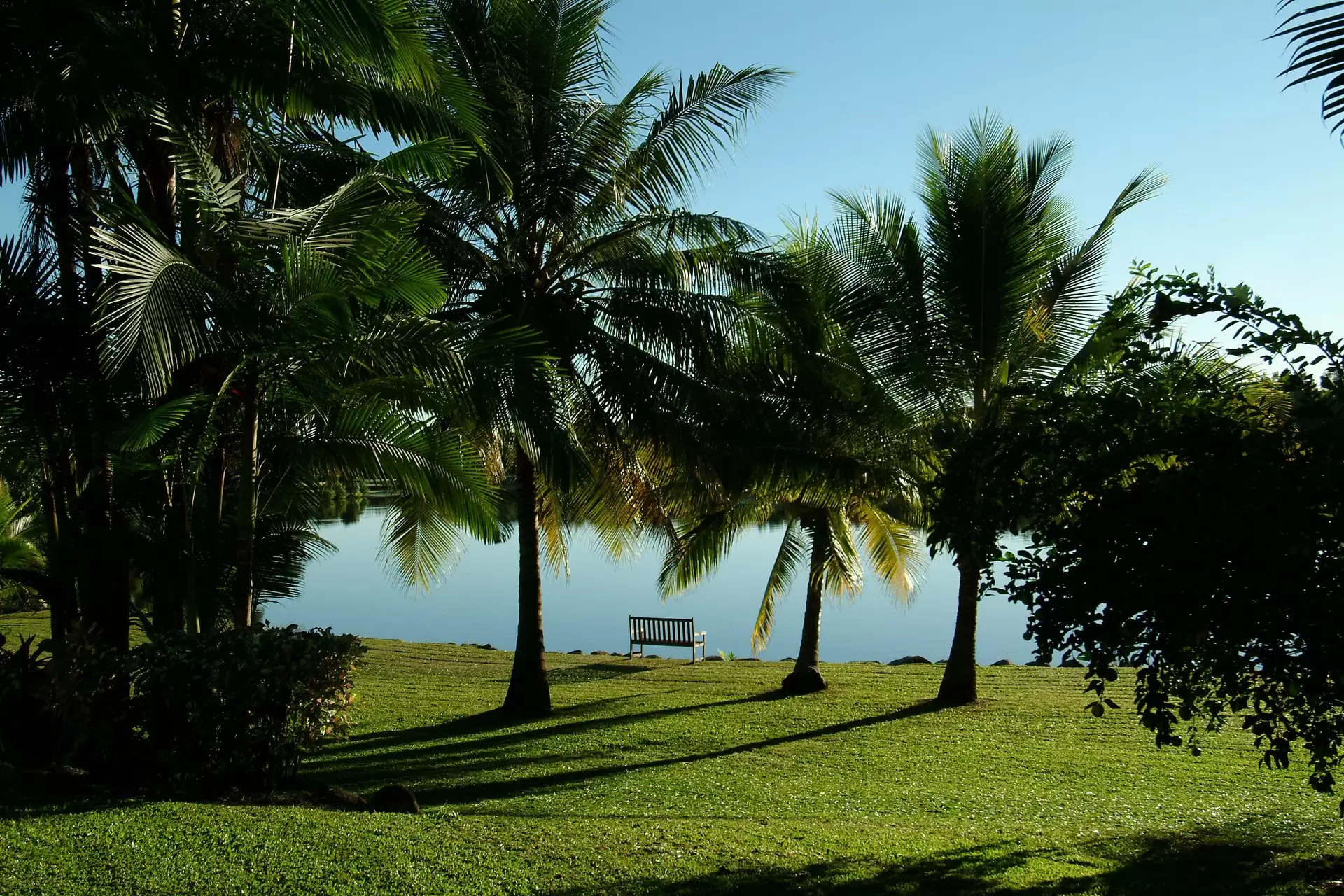 3 Ruby Close, Port Douglas Sold by  - image 1