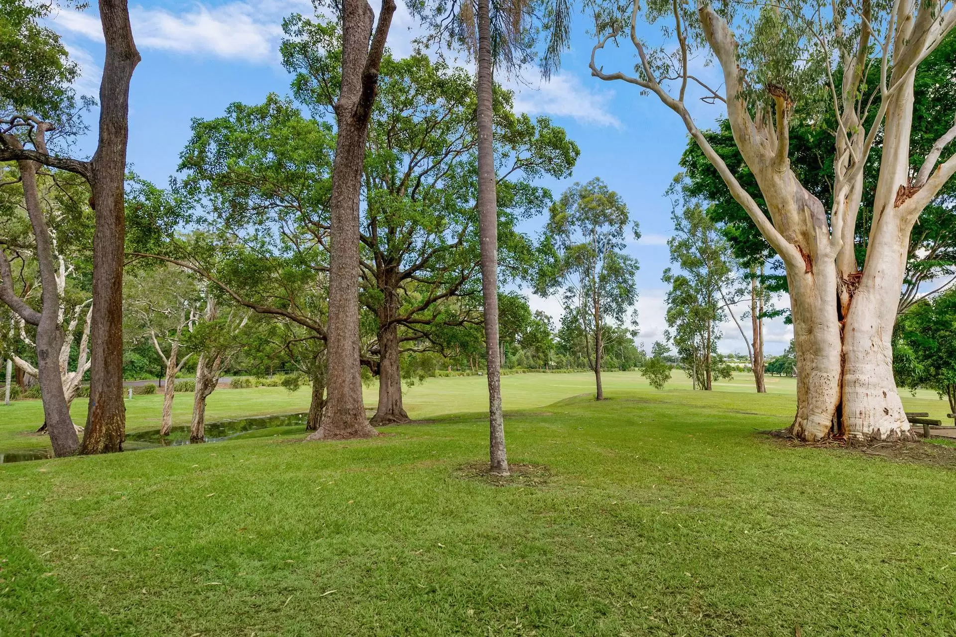 7 Henry Street, Clayfield Sold by Queensland Sotheby's International Realty - image 1