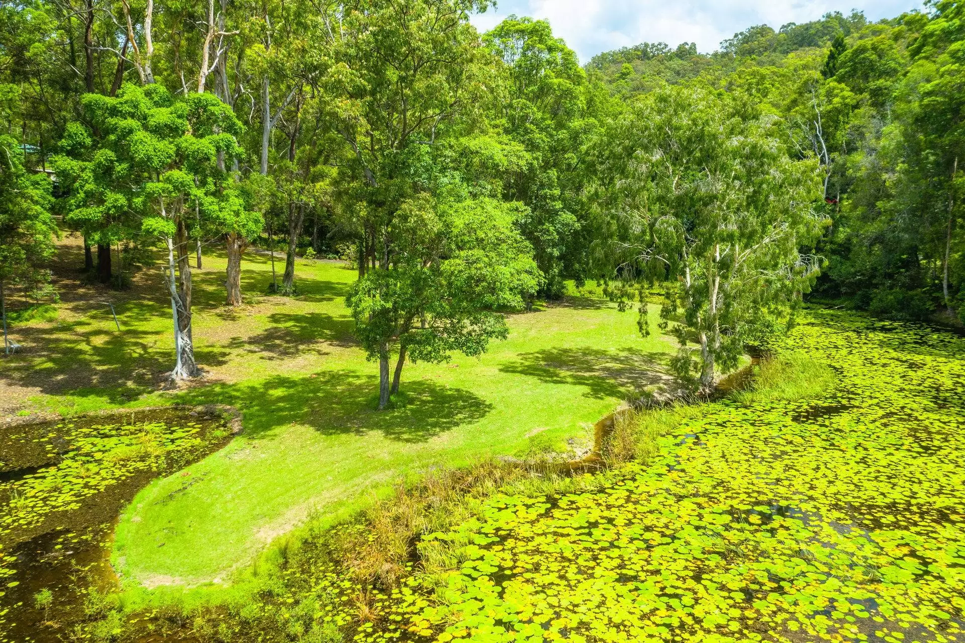 44 Koombahla Drive, Tallebudgera Sold by Queensland Sotheby's International Realty - image 1