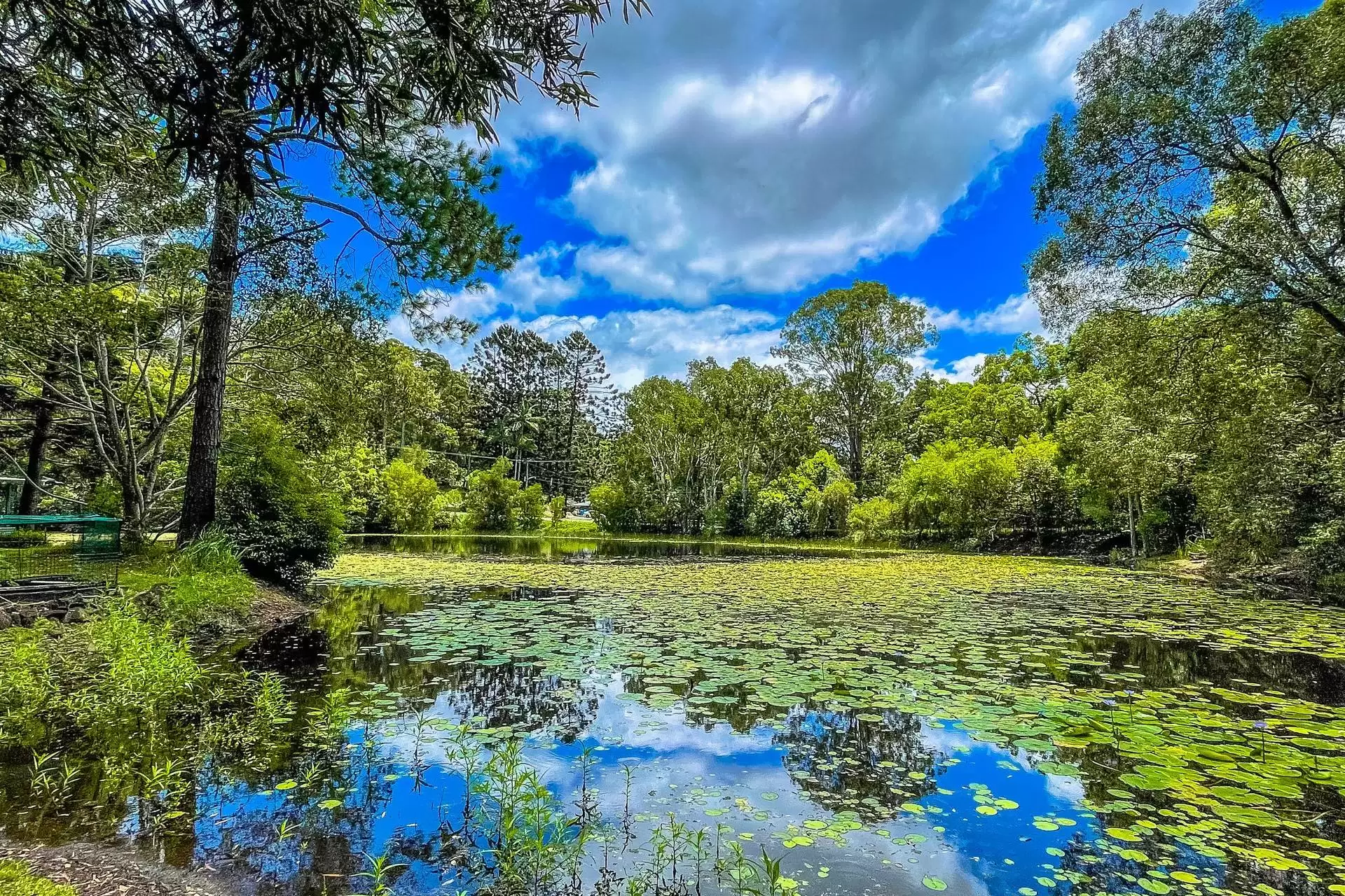 44 Koombahla Drive, Tallebudgera Sold by Queensland Sotheby's International Realty - image 1