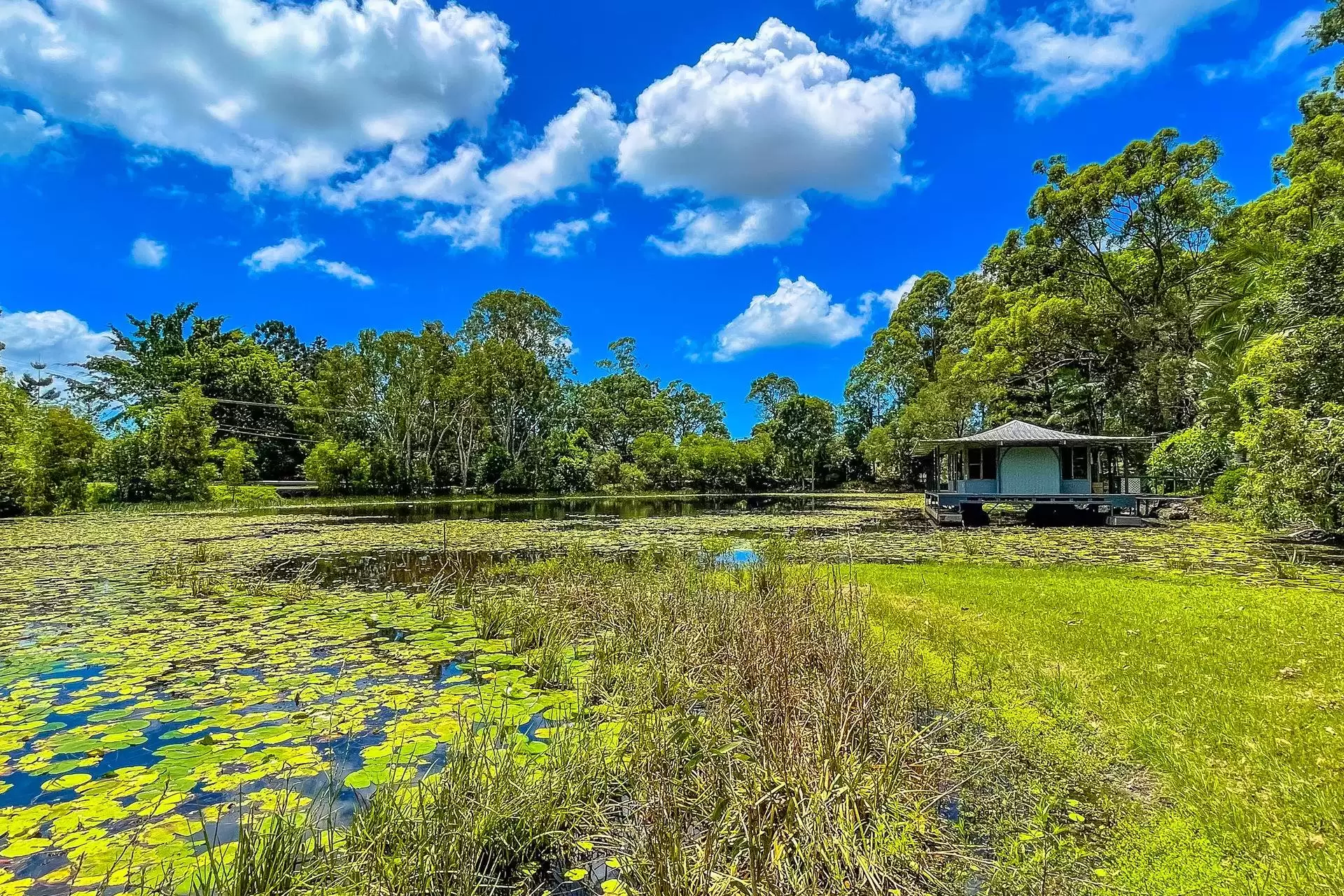 44 Koombahla Drive, Tallebudgera Sold by Queensland Sotheby's International Realty - image 1