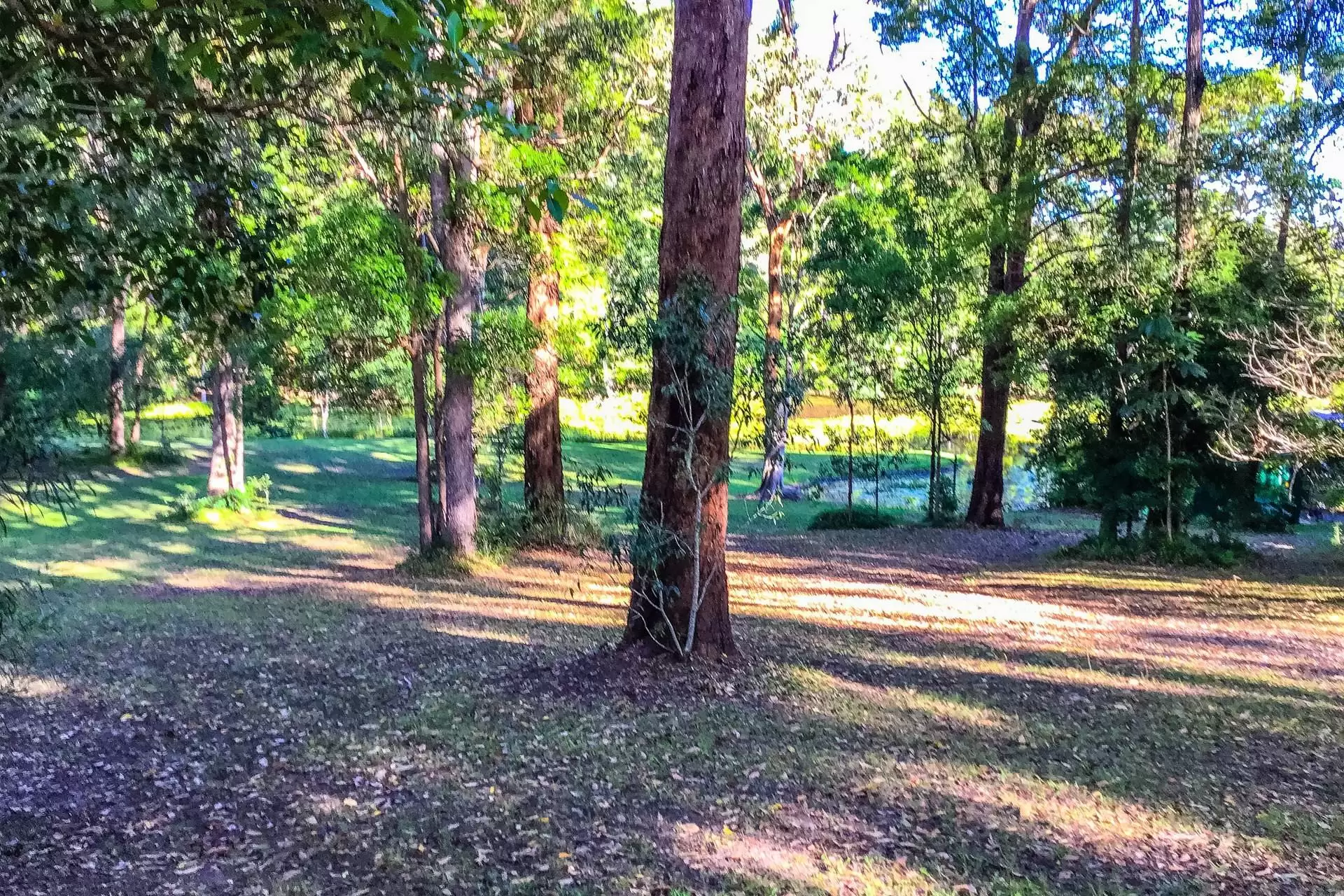 44 Koombahla Drive, Tallebudgera Sold by  - image 1