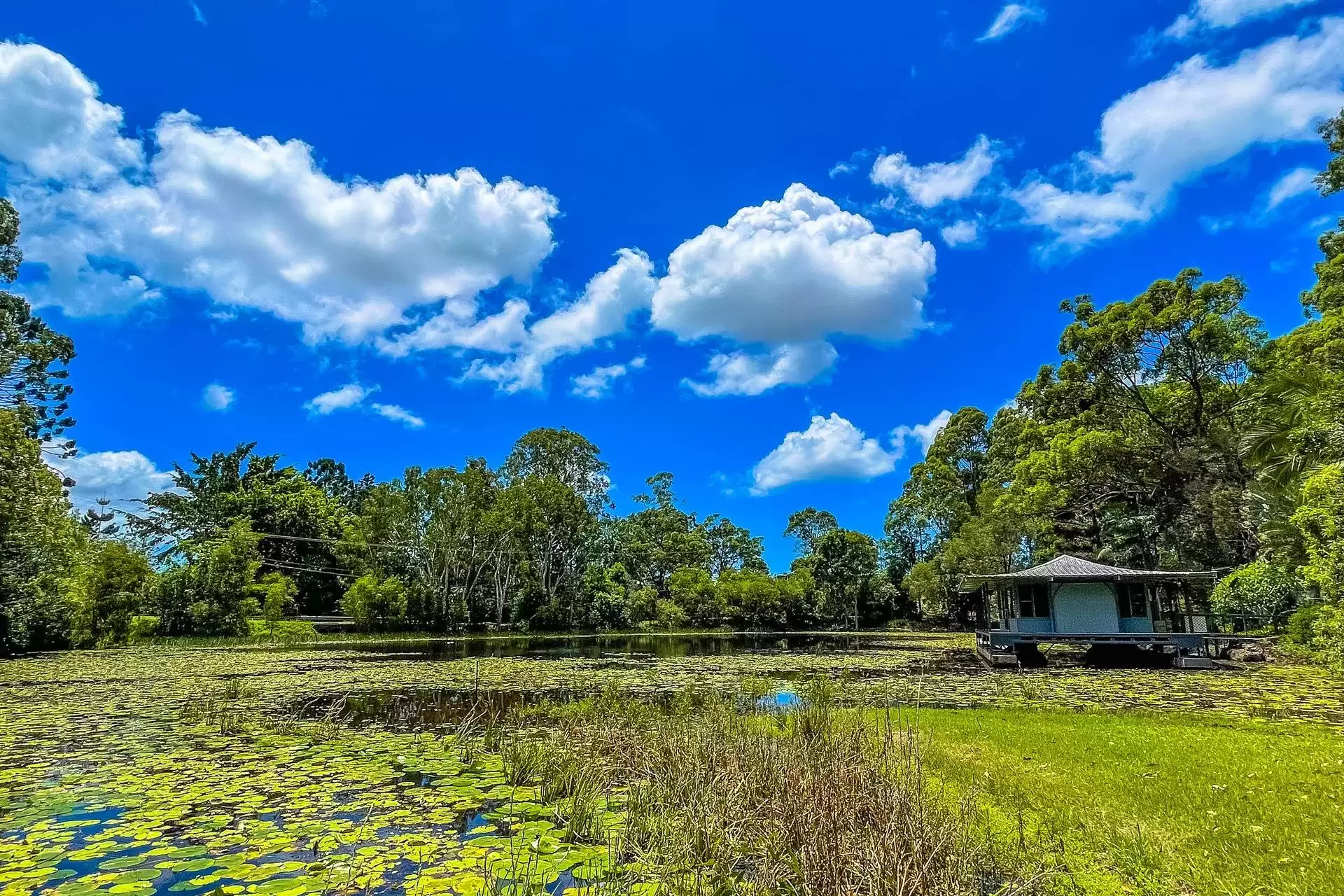 44 Koombahla Drive, Tallebudgera Sold by Queensland Sotheby's International Realty - image 1