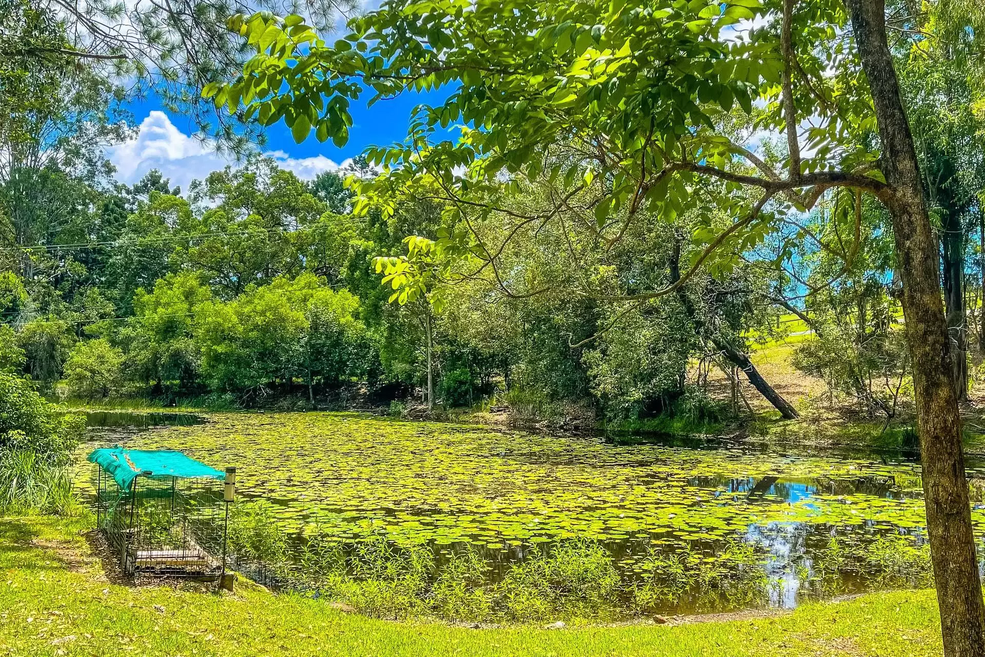 44 Koombahla Drive, Tallebudgera Sold by Queensland Sotheby's International Realty - image 1