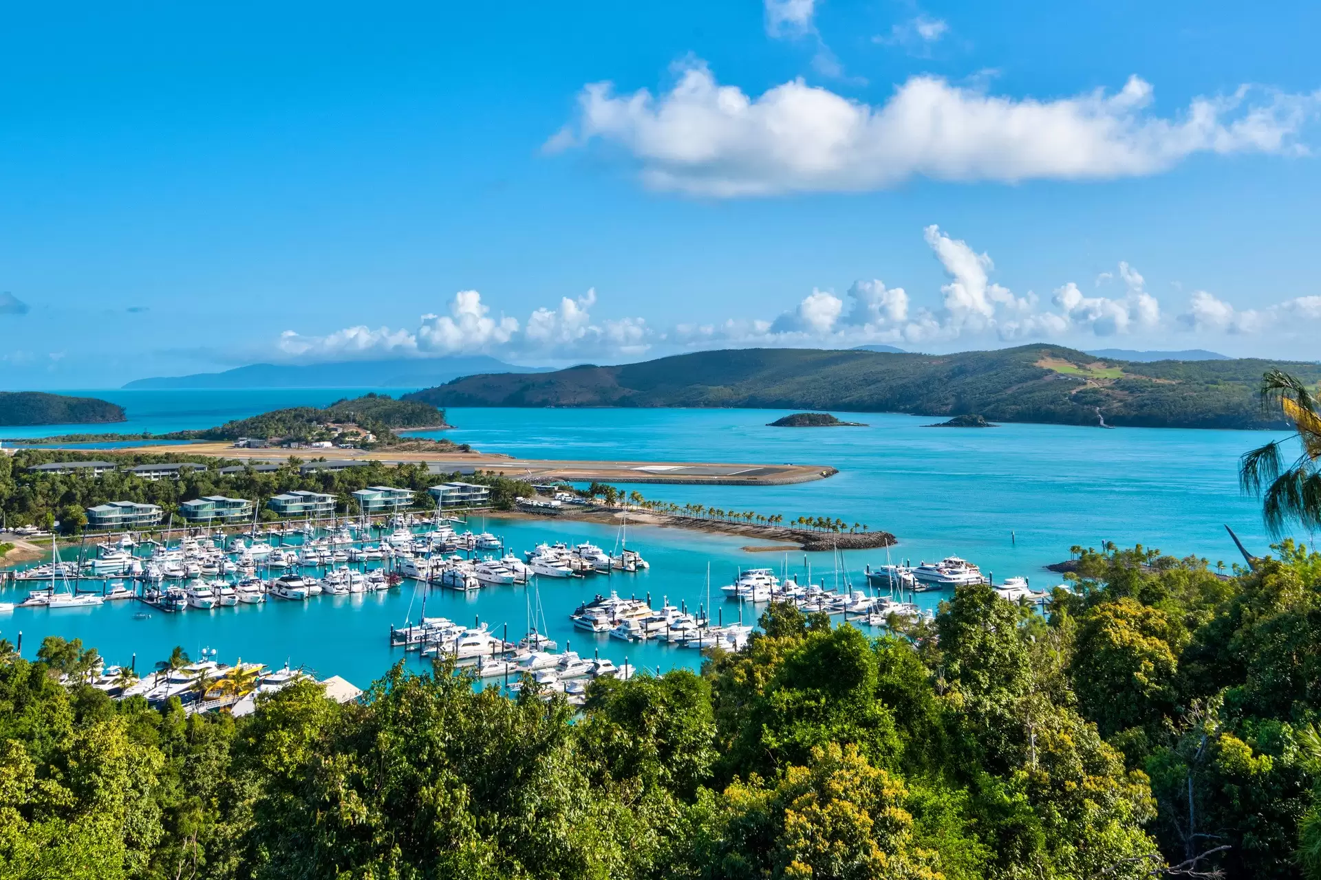 3 Cycad Close, Hamilton Island Sold by Queensland Sotheby's International Realty - image 1