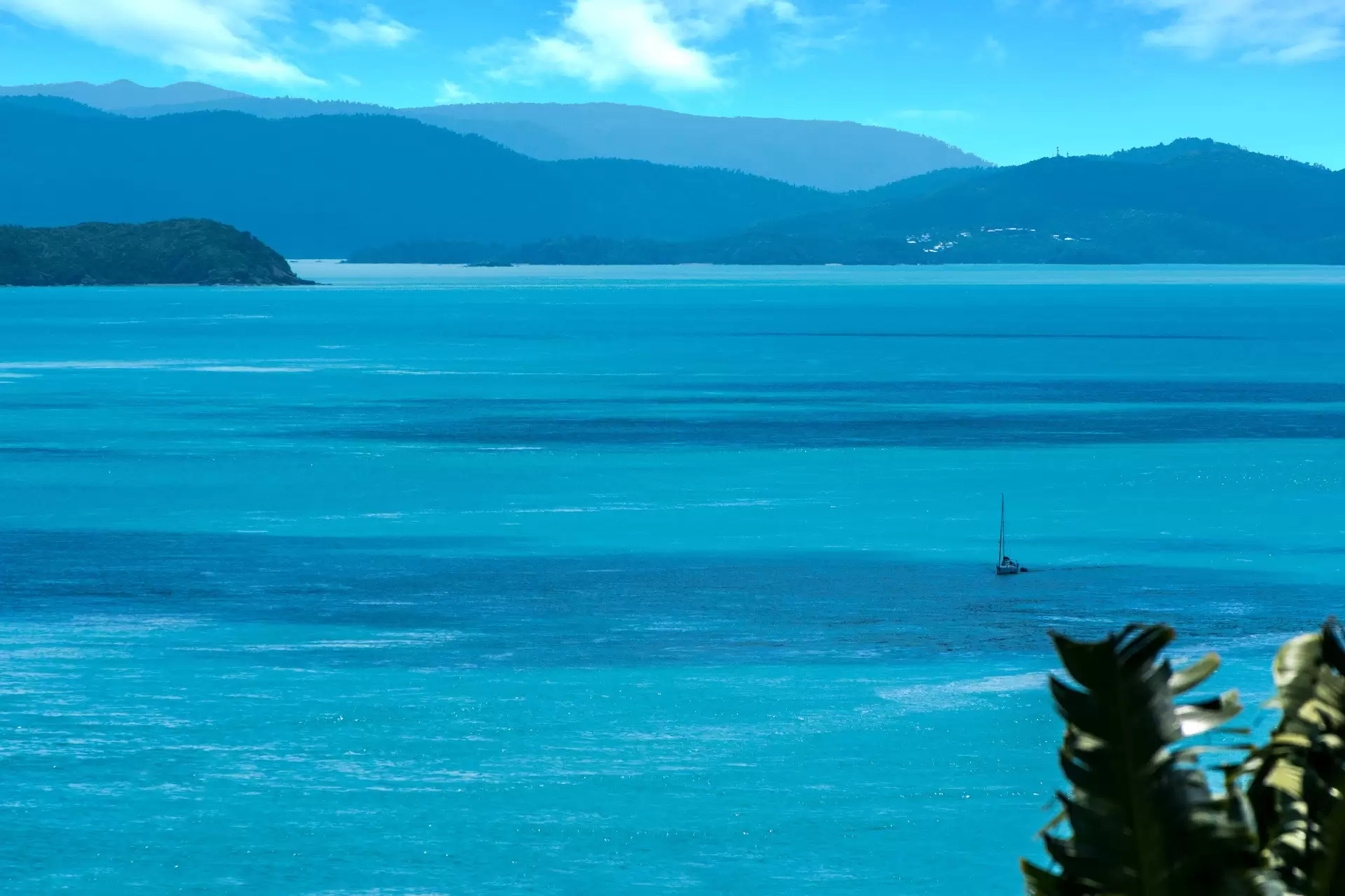 Bluewater/13 Acacia Drive, Hamilton Island Sold by Queensland Sotheby's International Realty - image 1