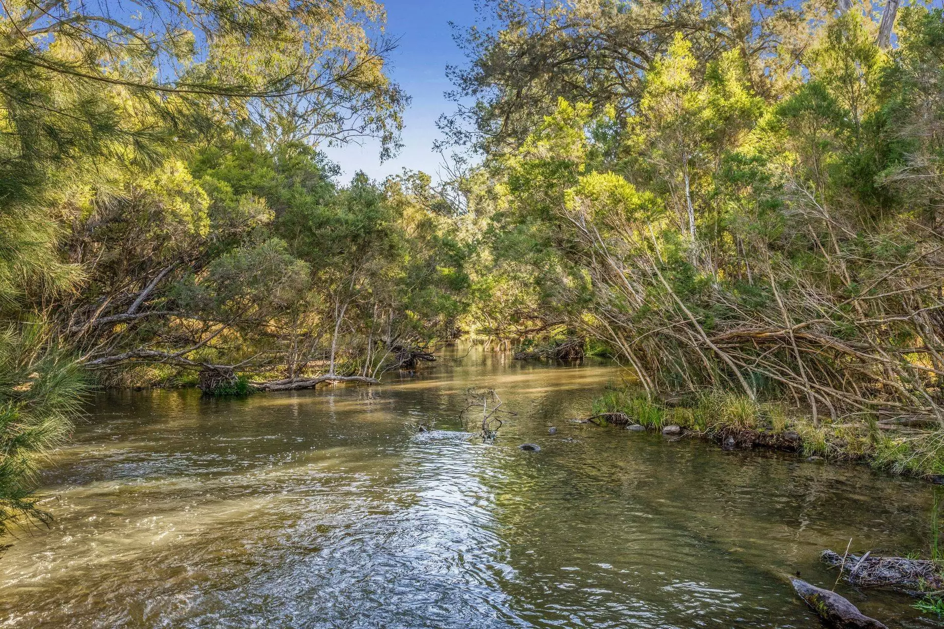 37 Loupals Road, Whetstone Sold by Queensland Sotheby's International Realty - image 1