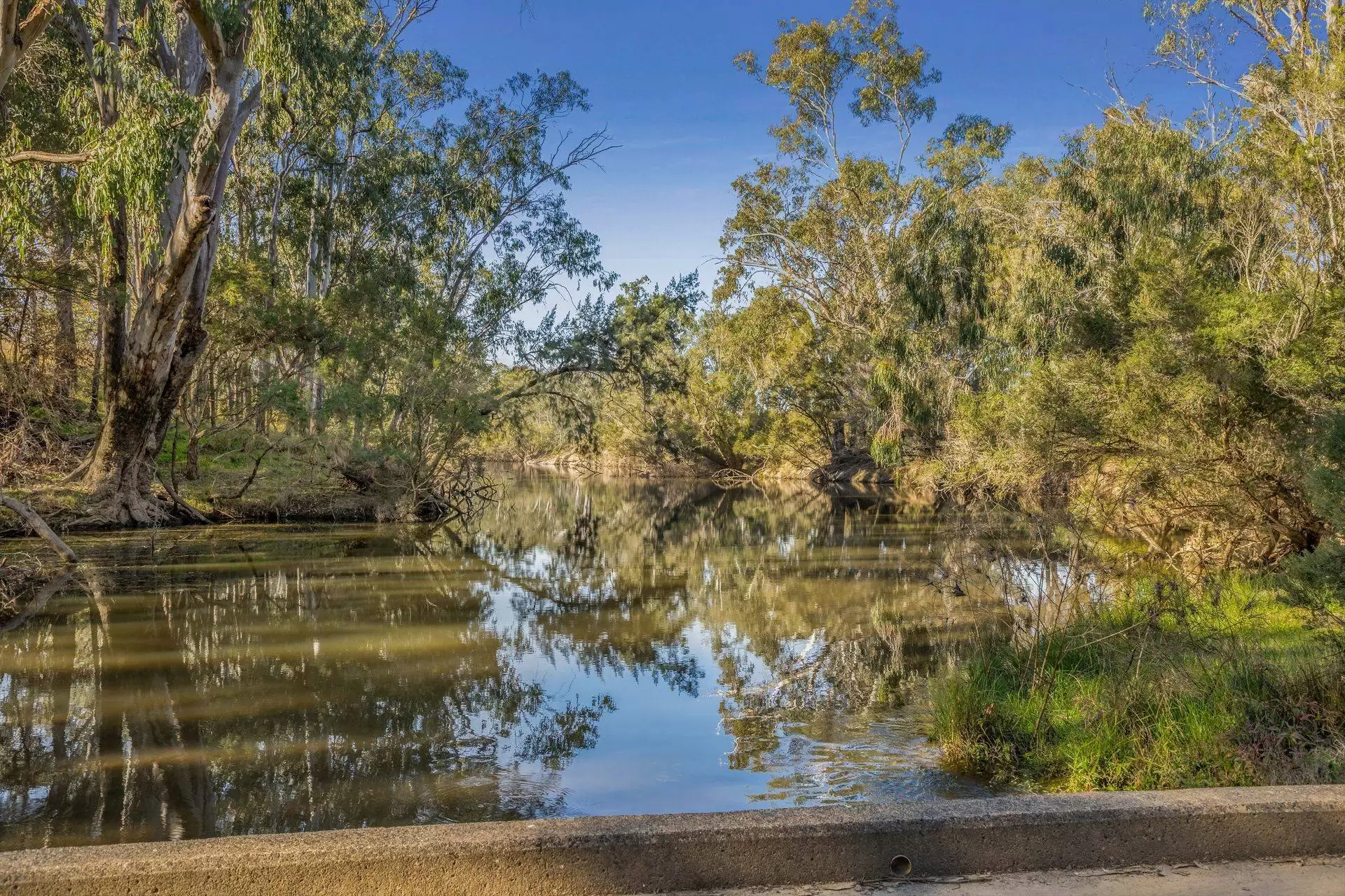 37 Loupals Road, Whetstone Sold by Queensland Sotheby's International Realty - image 1