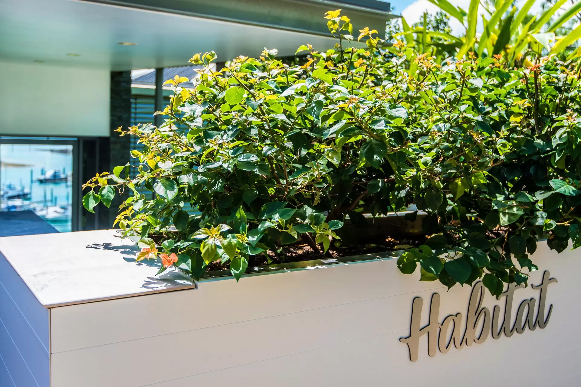 13 Marina Terrace, Hamilton Island Sold by  - image 1