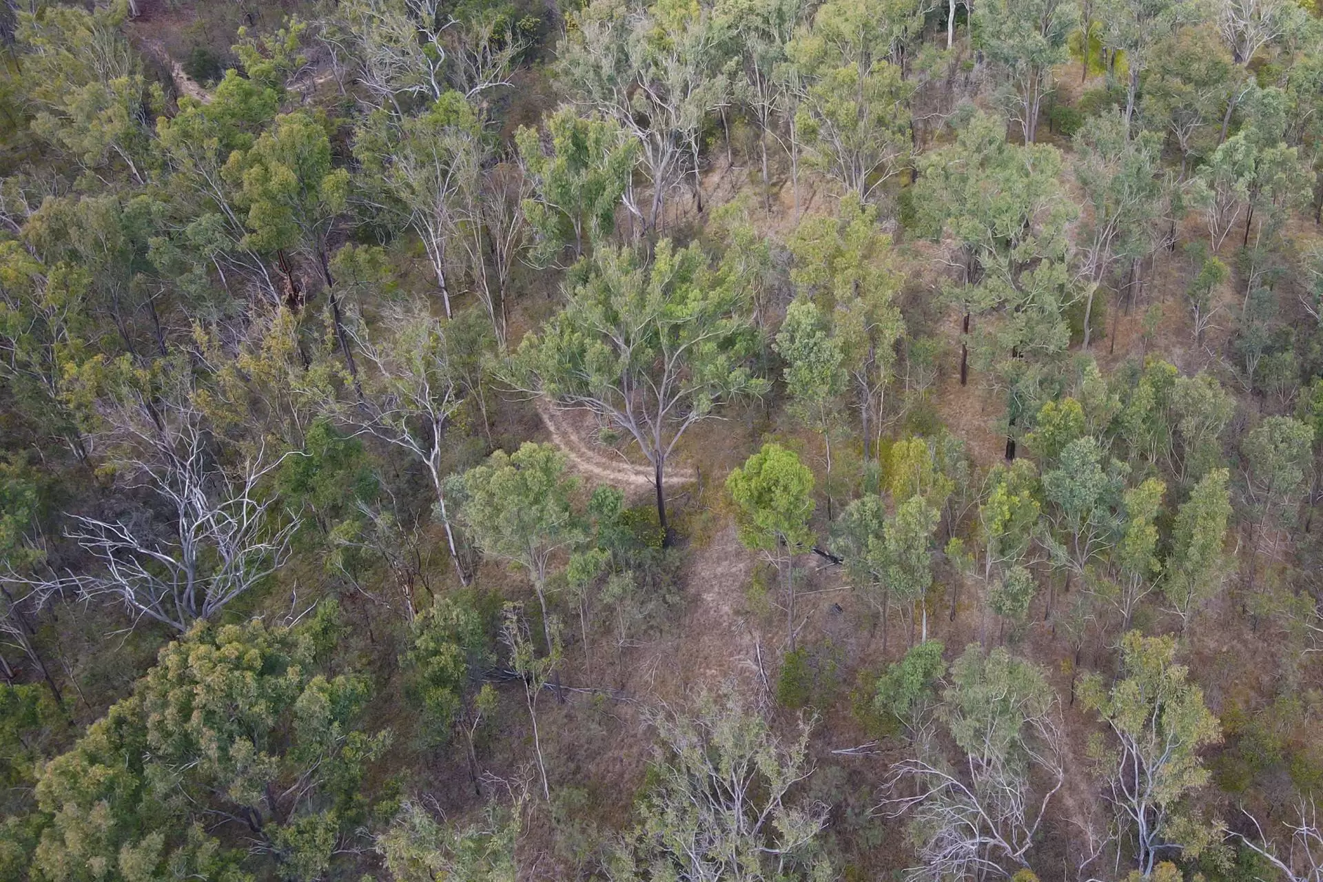 Lot 6 Burnett Highway, Sandy Ridges Sold by  - image 1