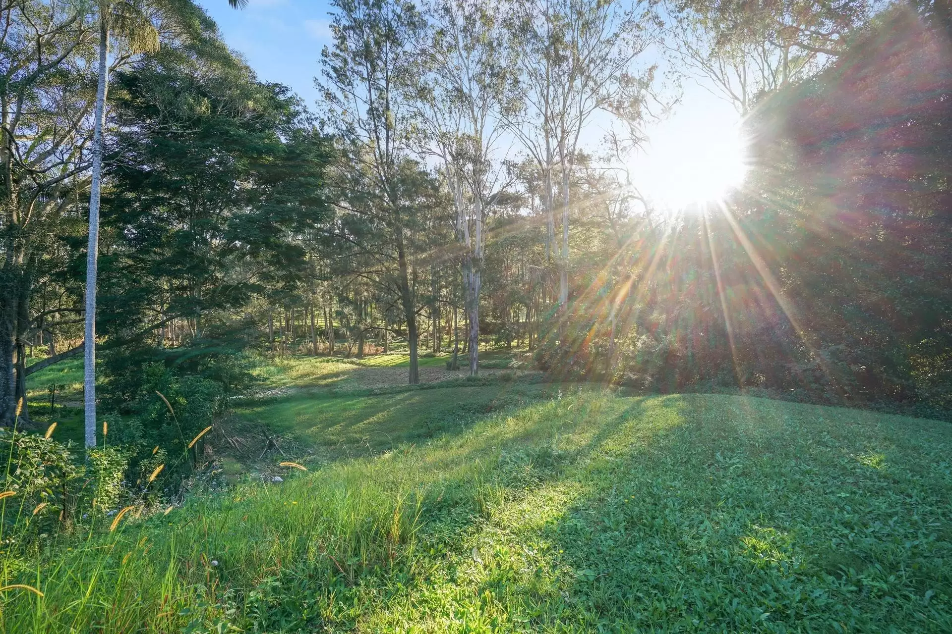 10 Coorabin Court, Tallebudgera Sold by Queensland Sotheby's International Realty - image 1