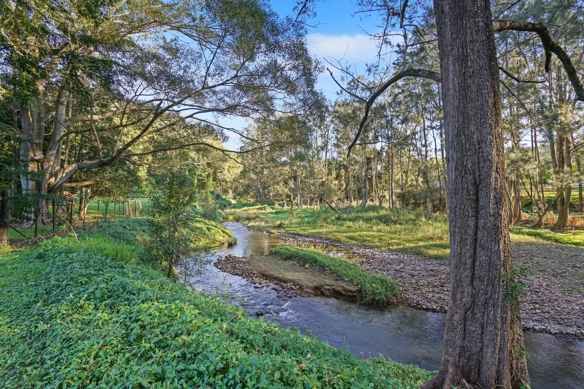 10 Coorabin Court, Tallebudgera Sold by Queensland Sotheby's International Realty - image 1