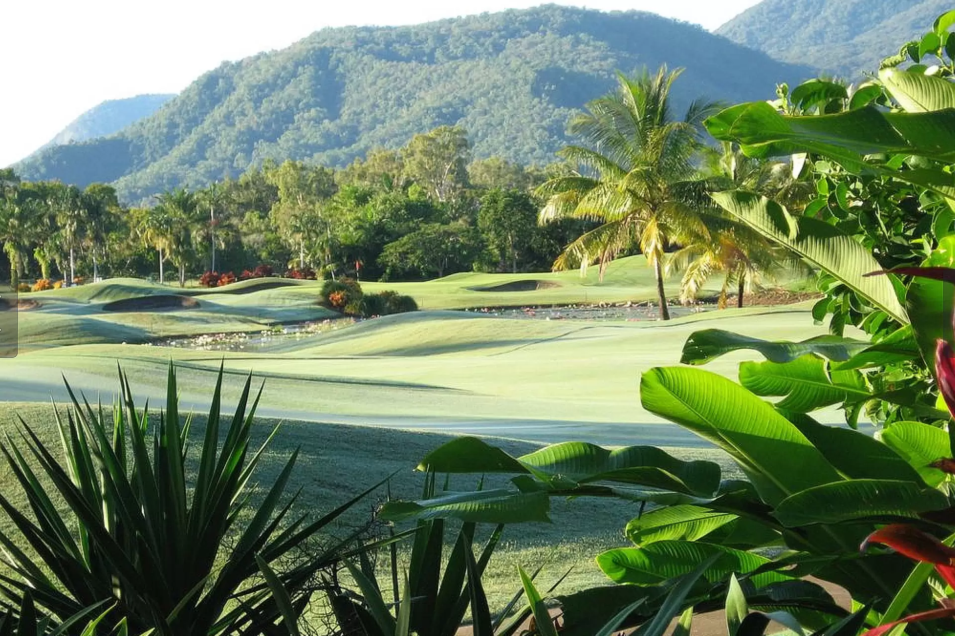 8 Cascade Drive, Port Douglas Sold by Queensland Sotheby's International Realty - image 1