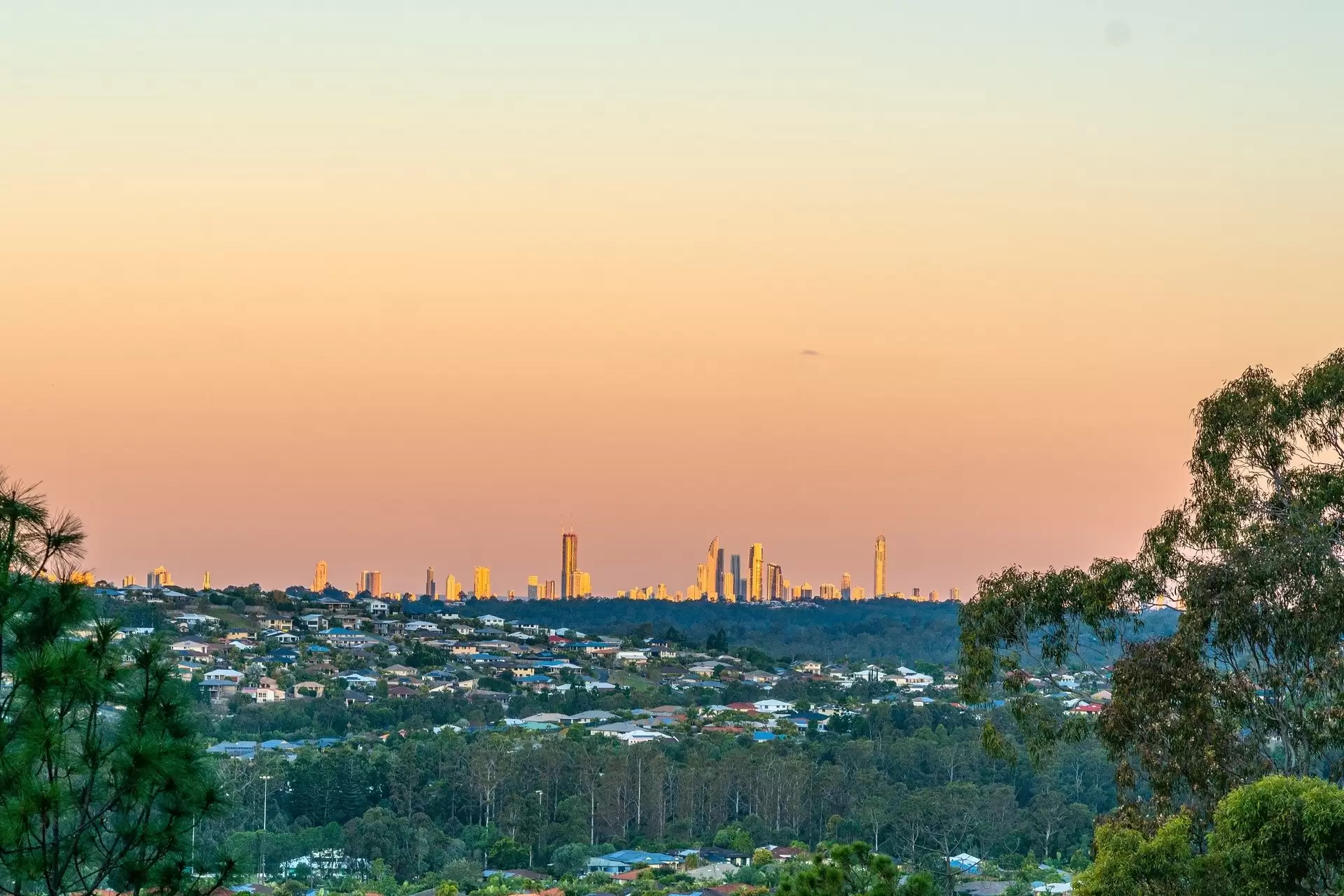 62 Felling Drive, Maudsland Sold by Queensland Sotheby's International Realty - image 1