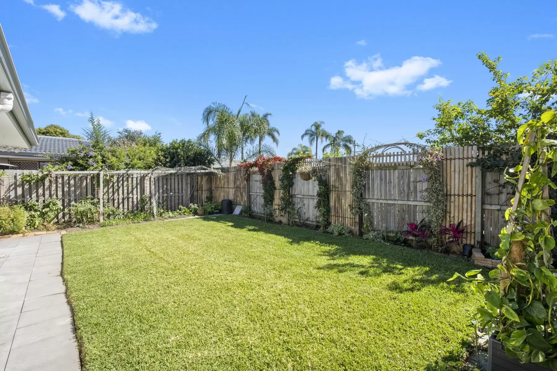 3 Medland Court, Sorrento Sold by Queensland Sotheby's International Realty - image 1