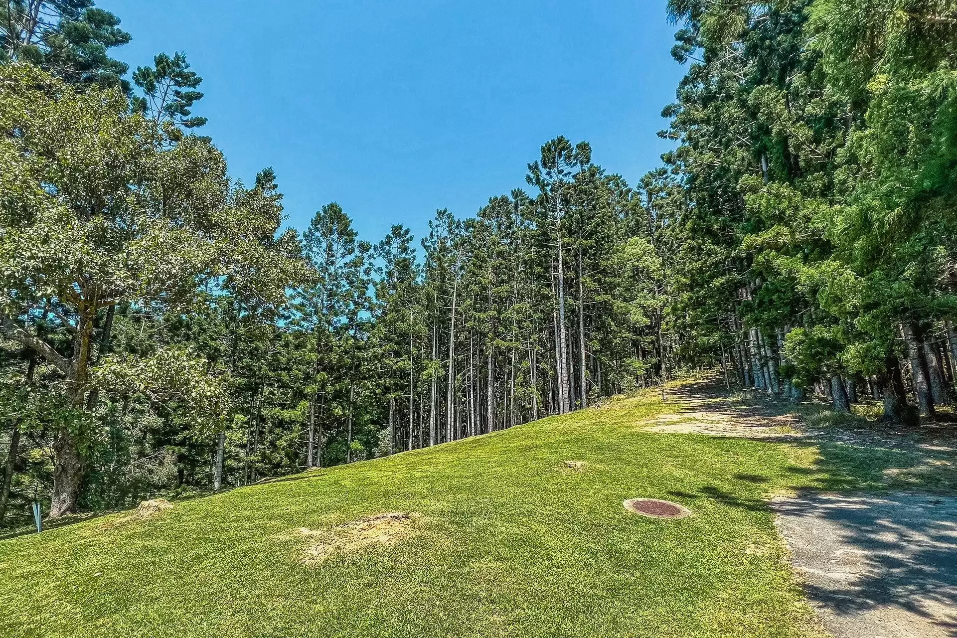 8 Mumdjin Court, Currumbin Valley Sold by Queensland Sotheby's International Realty - image 1