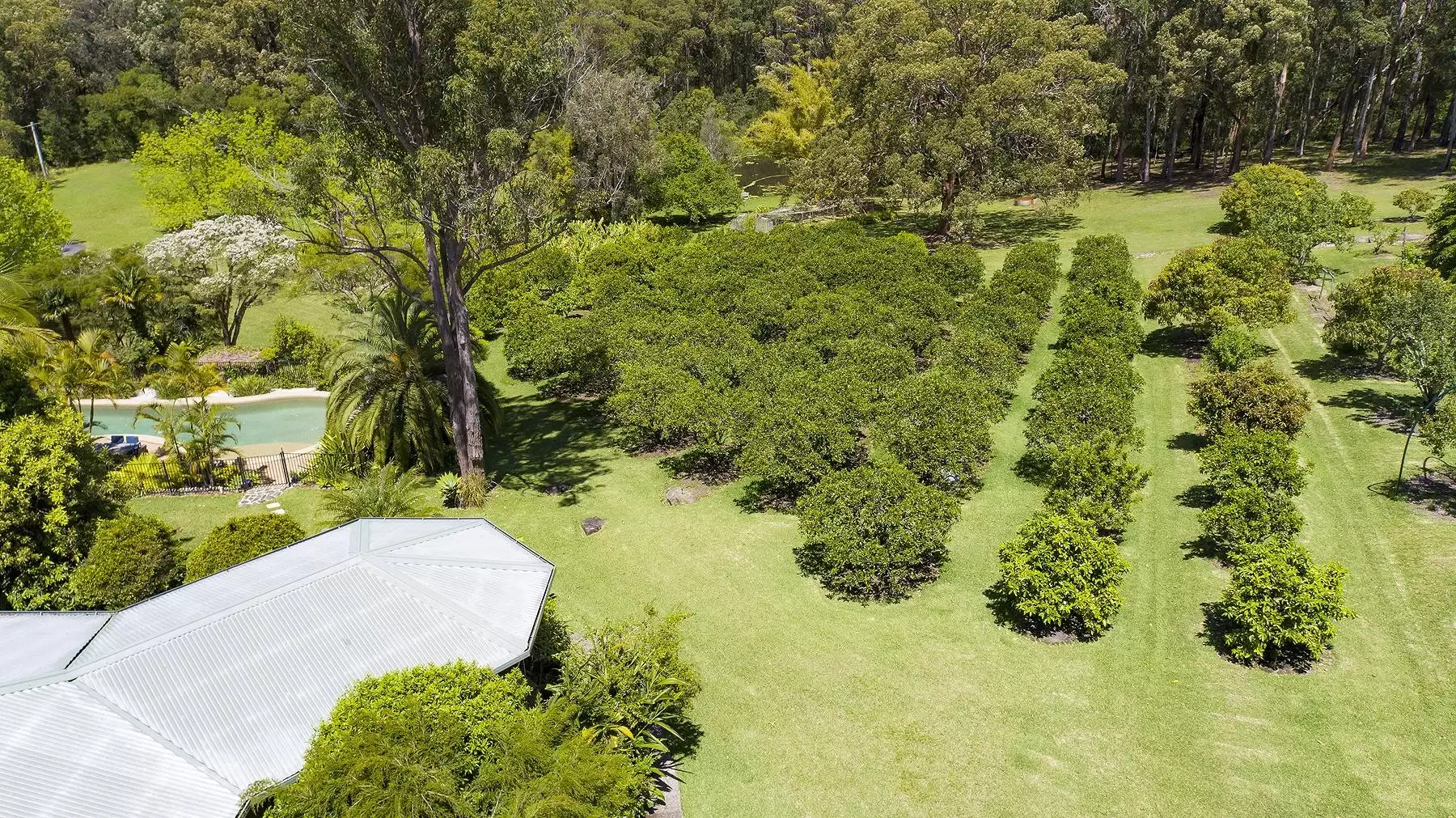 10 Thomas Place, Pacific Palms Sold by Queensland Sotheby's International Realty - image 1