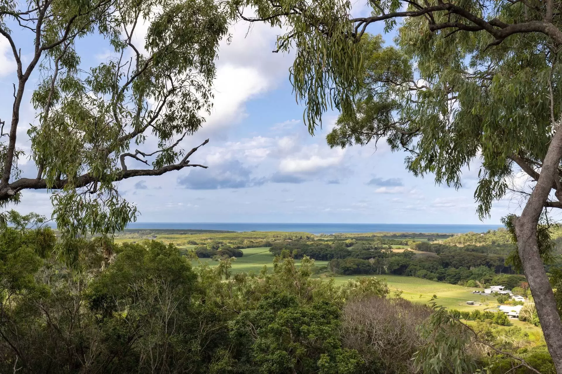 300 Mowbray River Road, Mowbray Sold by Queensland Sotheby's International Realty - image 1