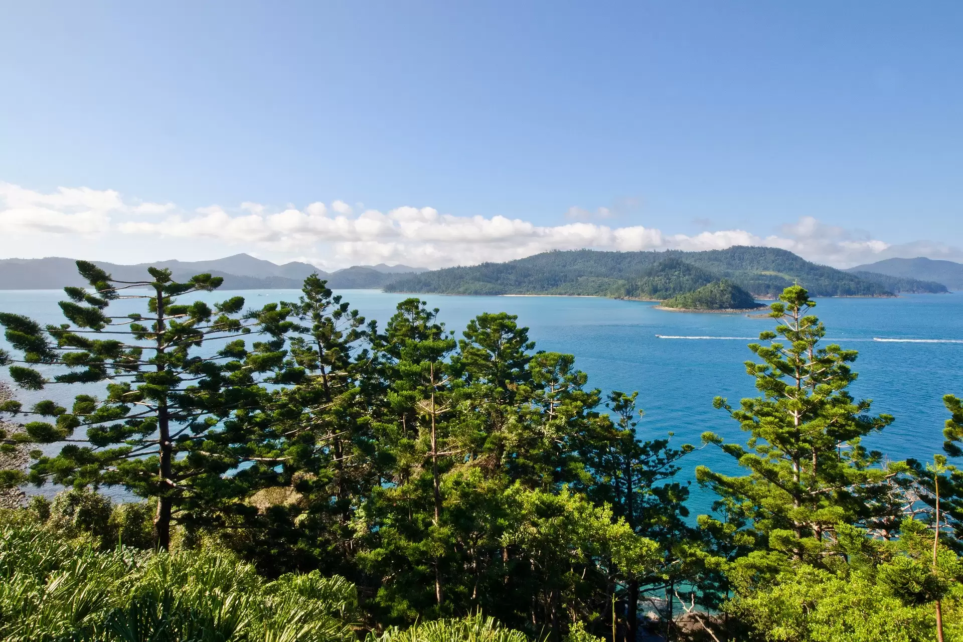 2/2 Coral Sea Avenue, Hamilton Island Sold by  - image 1