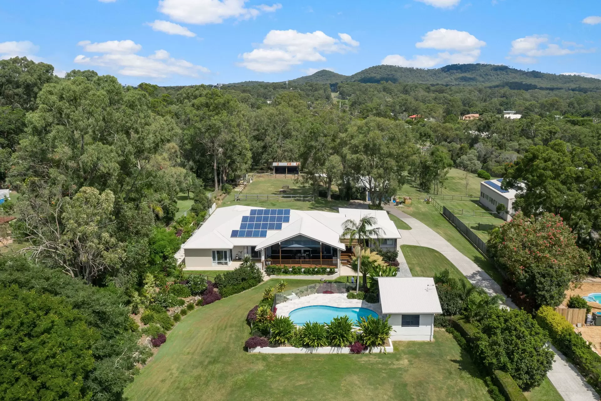 393 London Road, Belmont Sold by  - image 1