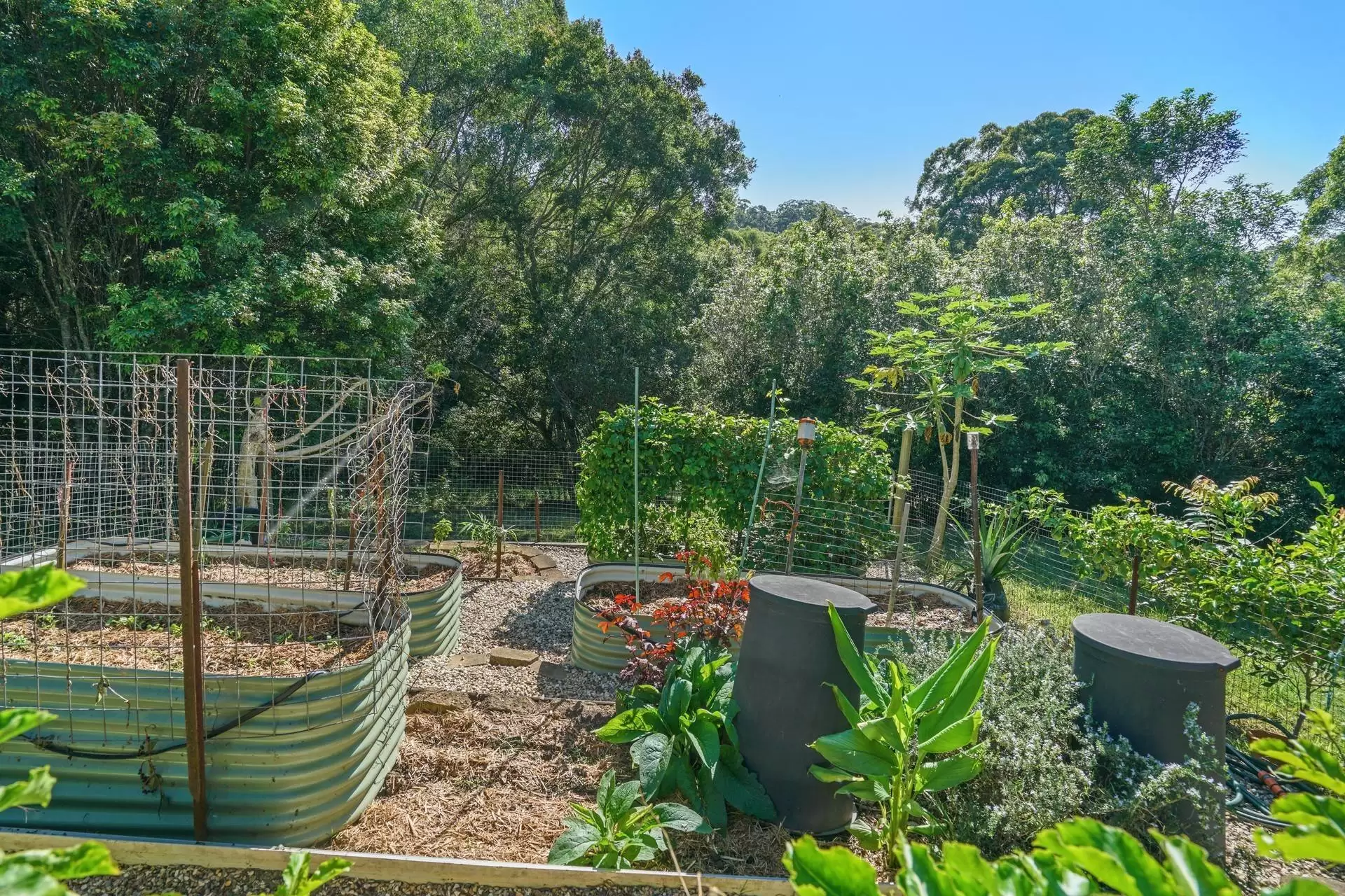 315/369 Currumbin Creek Road Terrace, Currumbin Valley Sold by Queensland Sotheby's International Realty - image 1