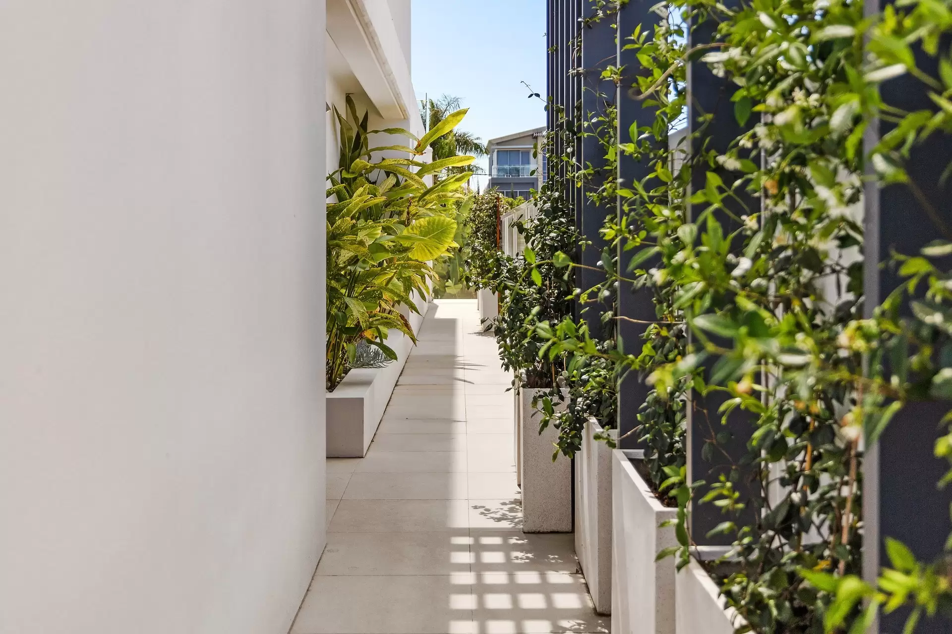 2/53 Cronin Avenue, Main Beach Sold by Queensland Sotheby's International Realty - image 1