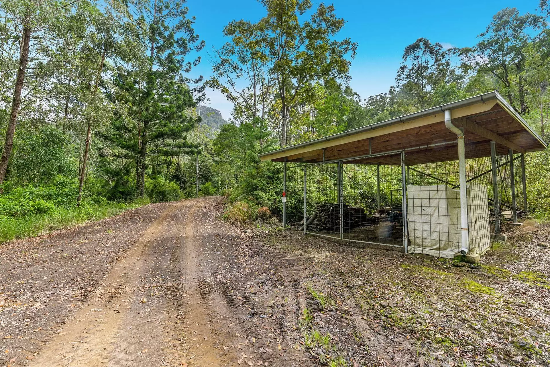 3275 Christmas Creek Road, Lamington Sold by Queensland Sotheby's International Realty - image 1