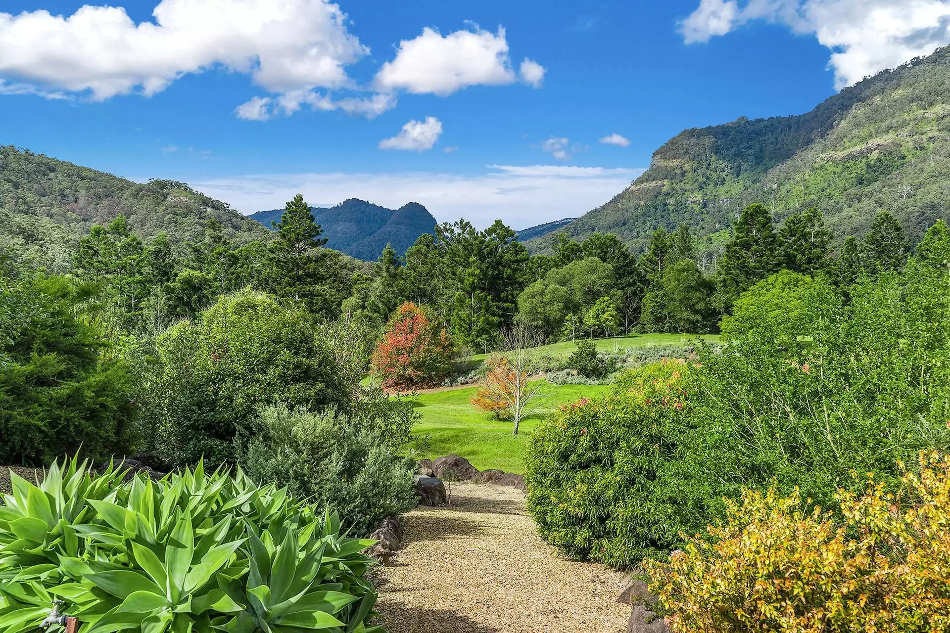 3275 Christmas Creek Road, Lamington Sold by Queensland Sotheby's International Realty - image 1