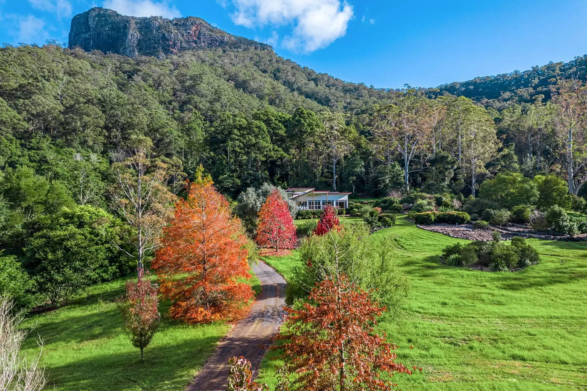 3275 Christmas Creek Road, Lamington Sold by Queensland Sotheby's International Realty - image 1