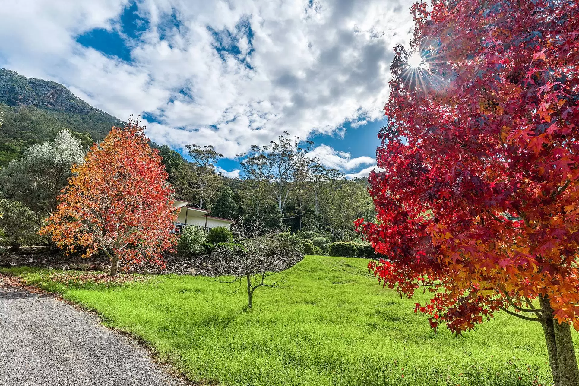 3275 Christmas Creek Road, Lamington Sold by Queensland Sotheby's International Realty - image 1