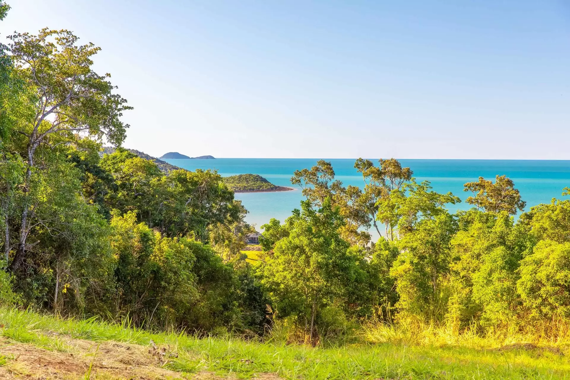Lot 40, 119 Botanica Drive, Woodwark Sold by Queensland Sotheby's International Realty - image 1