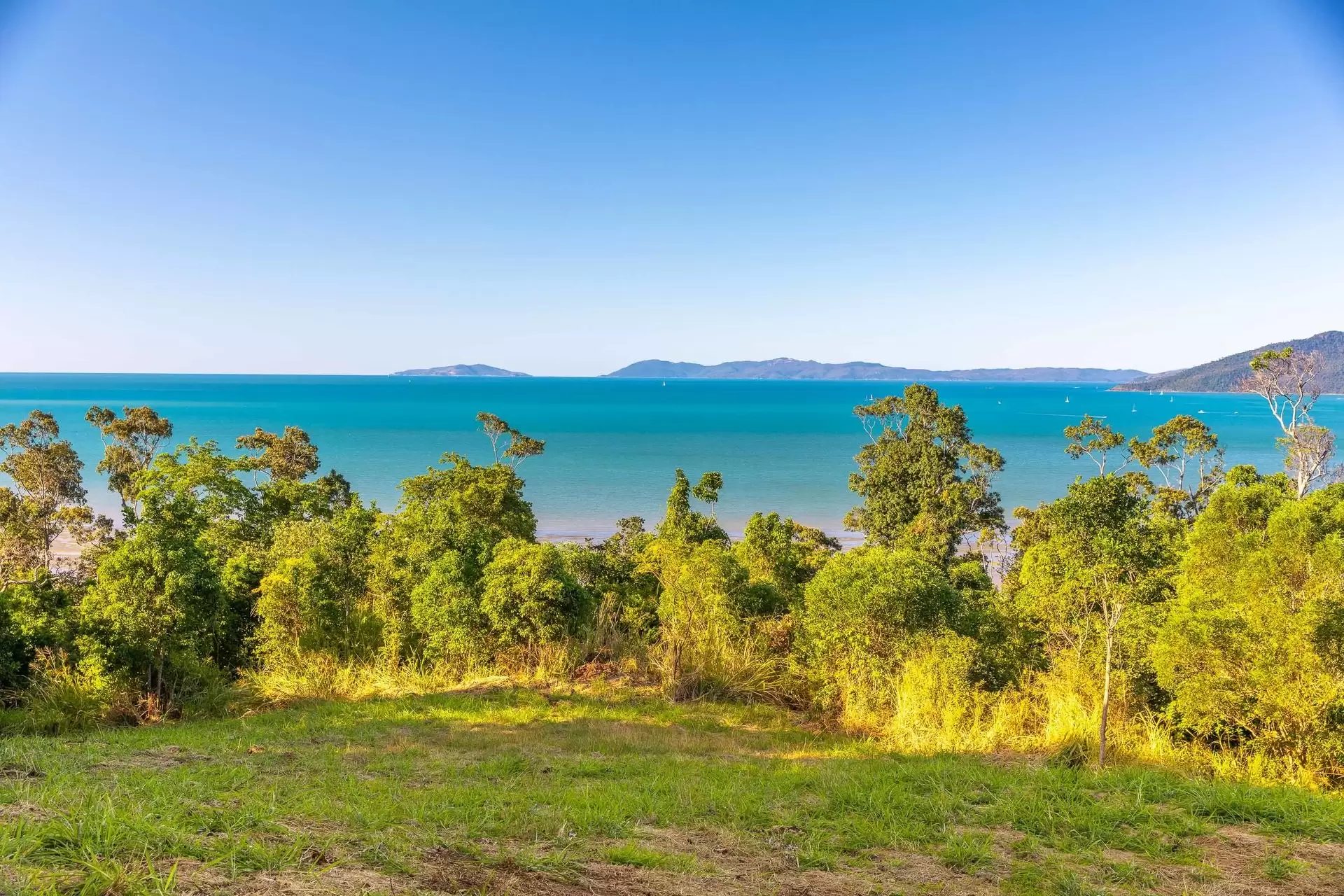Lot 40, 119 Botanica Drive, Woodwark Sold by Queensland Sotheby's International Realty - image 1
