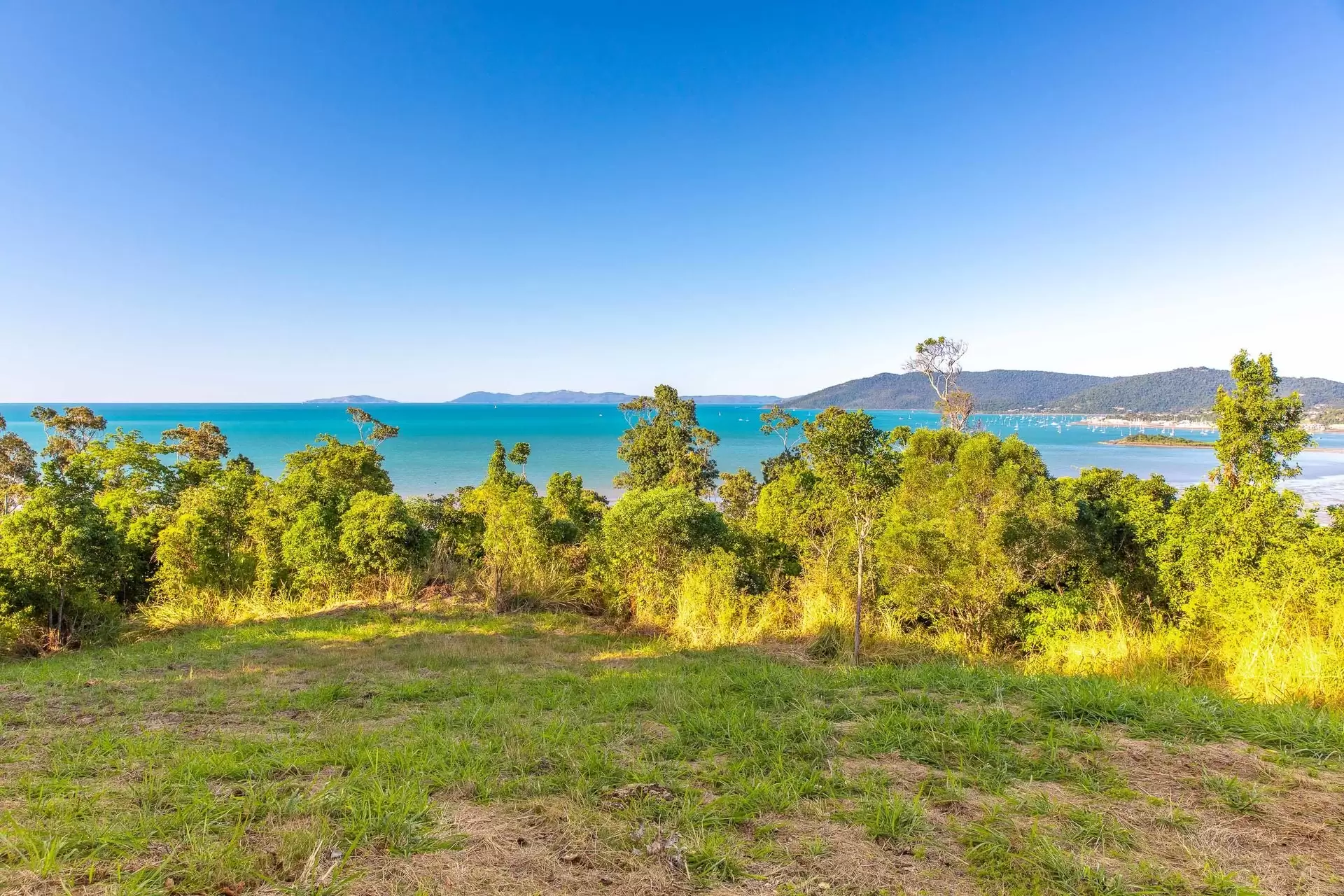 Lot 40, 119 Botanica Drive, Woodwark Sold by Queensland Sotheby's International Realty - image 1