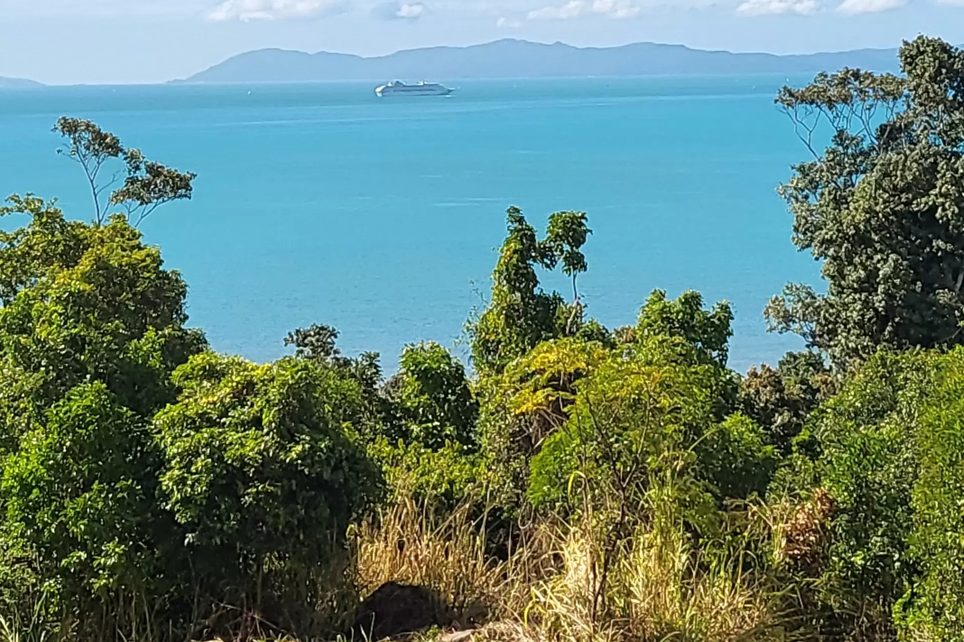Lot 40, 119 Botanica Drive, Woodwark Sold by Queensland Sotheby's International Realty - image 1