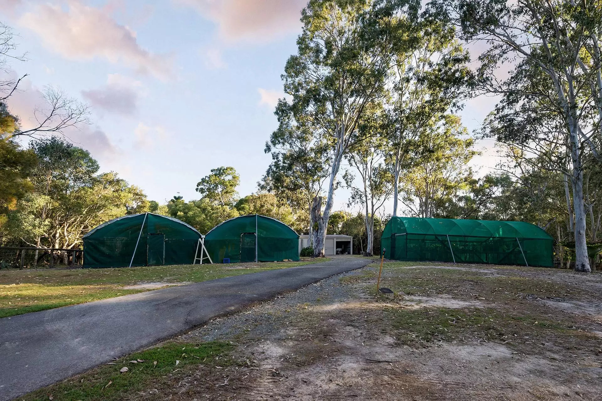 79 Formosa Road, Belmont Sold by Queensland Sotheby's International Realty - image 1