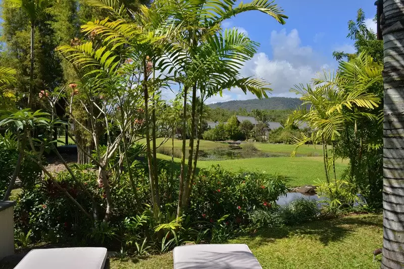 14 Bale Drive, Port Douglas Sold by Queensland Sotheby's International Realty - image 1