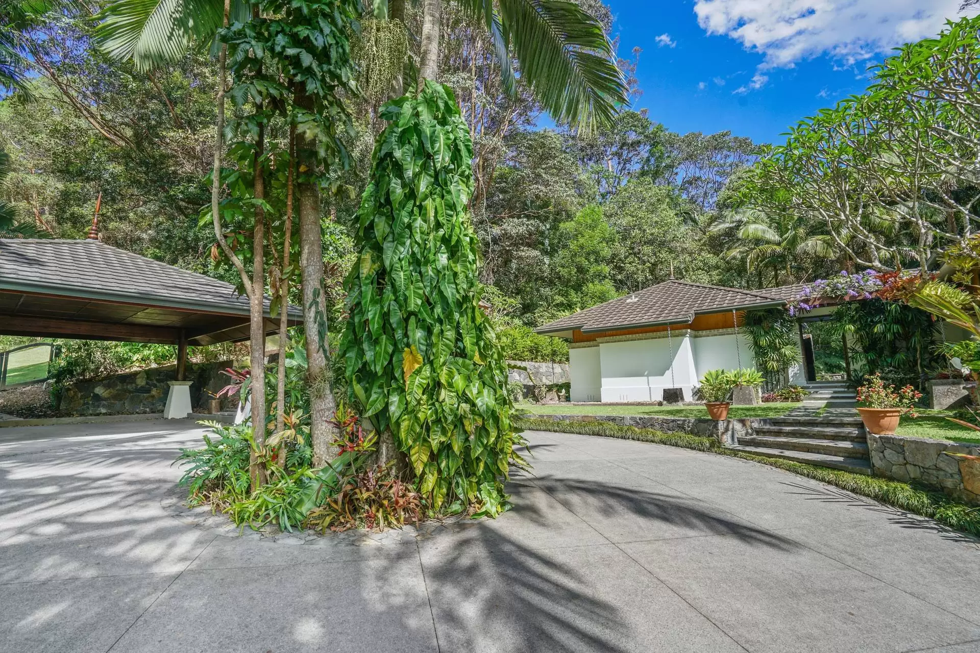 43 Bramley Drive, Tallebudgera Valley Sold by Queensland Sotheby's International Realty - image 1